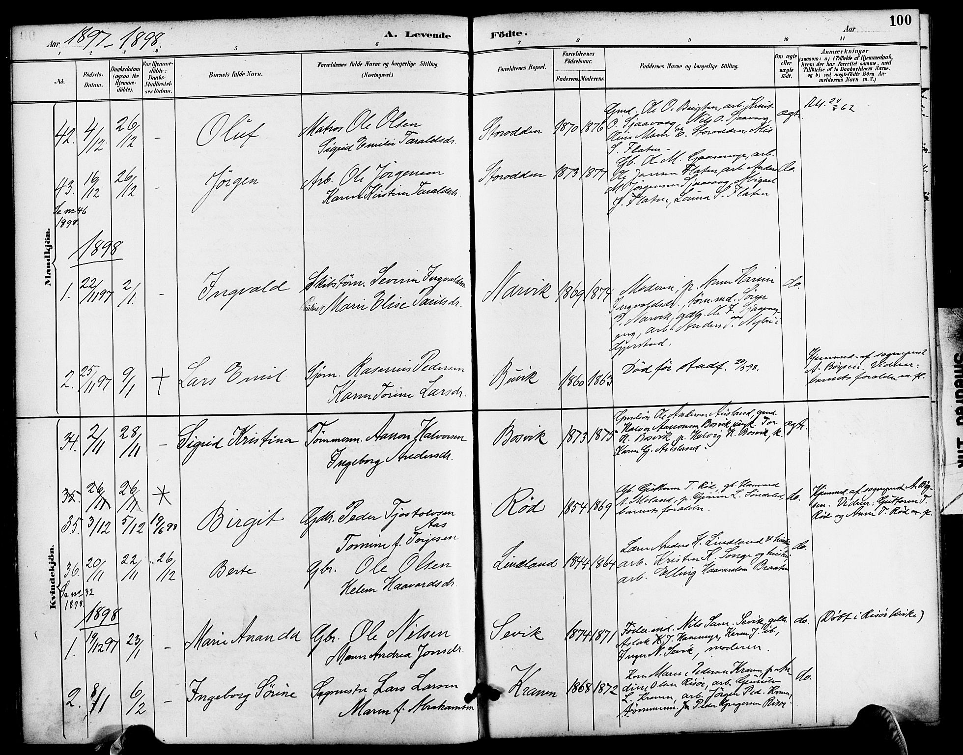 Søndeled sokneprestkontor, AV/SAK-1111-0038/F/Fa/L0005: Parish register (official) no. A 5, 1889-1899, p. 100