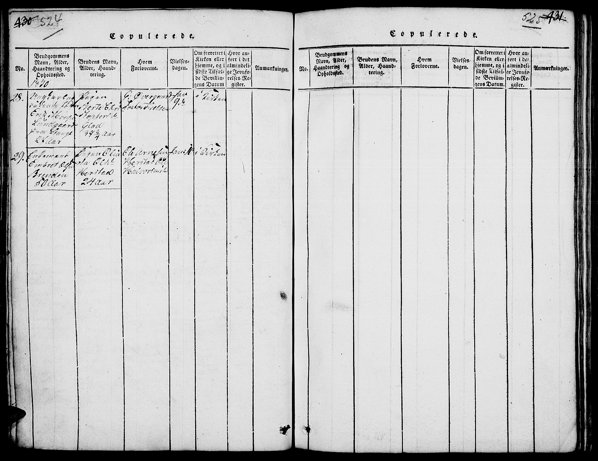 Elverum prestekontor, AV/SAH-PREST-044/H/Ha/Hab/L0001: Parish register (copy) no. 1, 1815-1829, p. 524-525