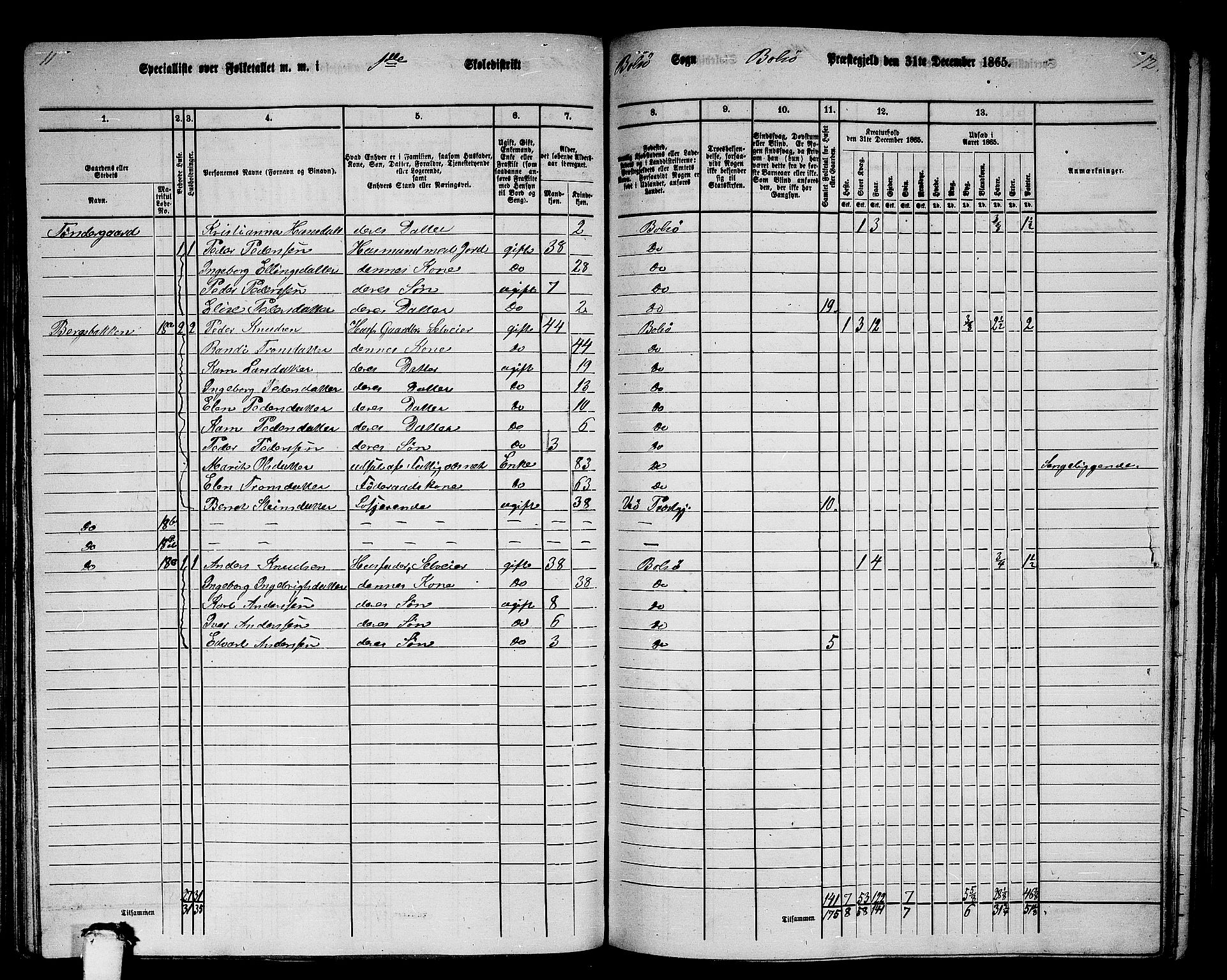 RA, 1865 census for Bolsøy, 1865, p. 26