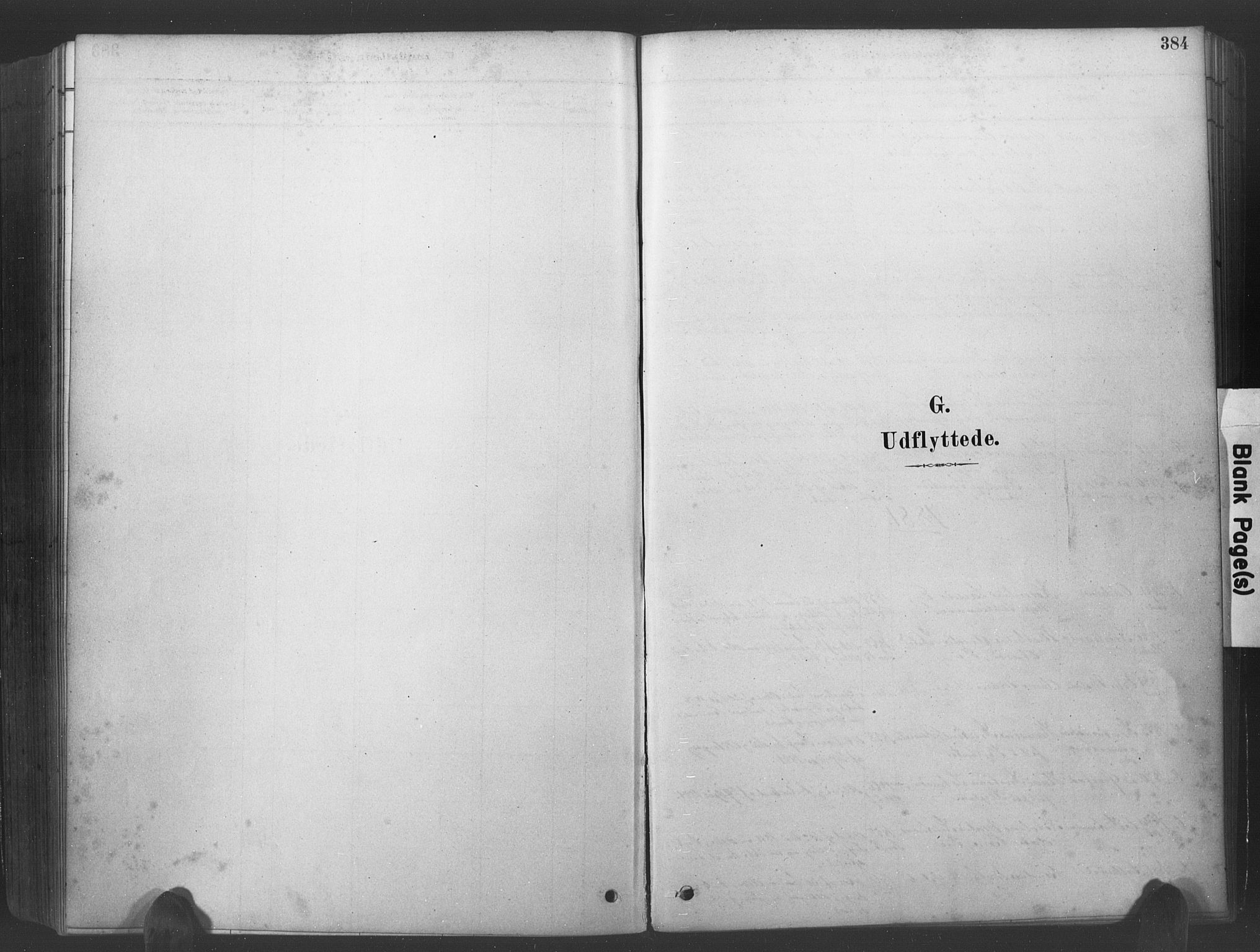 Søgne sokneprestkontor, SAK/1111-0037/F/Fa/Fab/L0012: Parish register (official) no. A 12, 1880-1891, p. 384