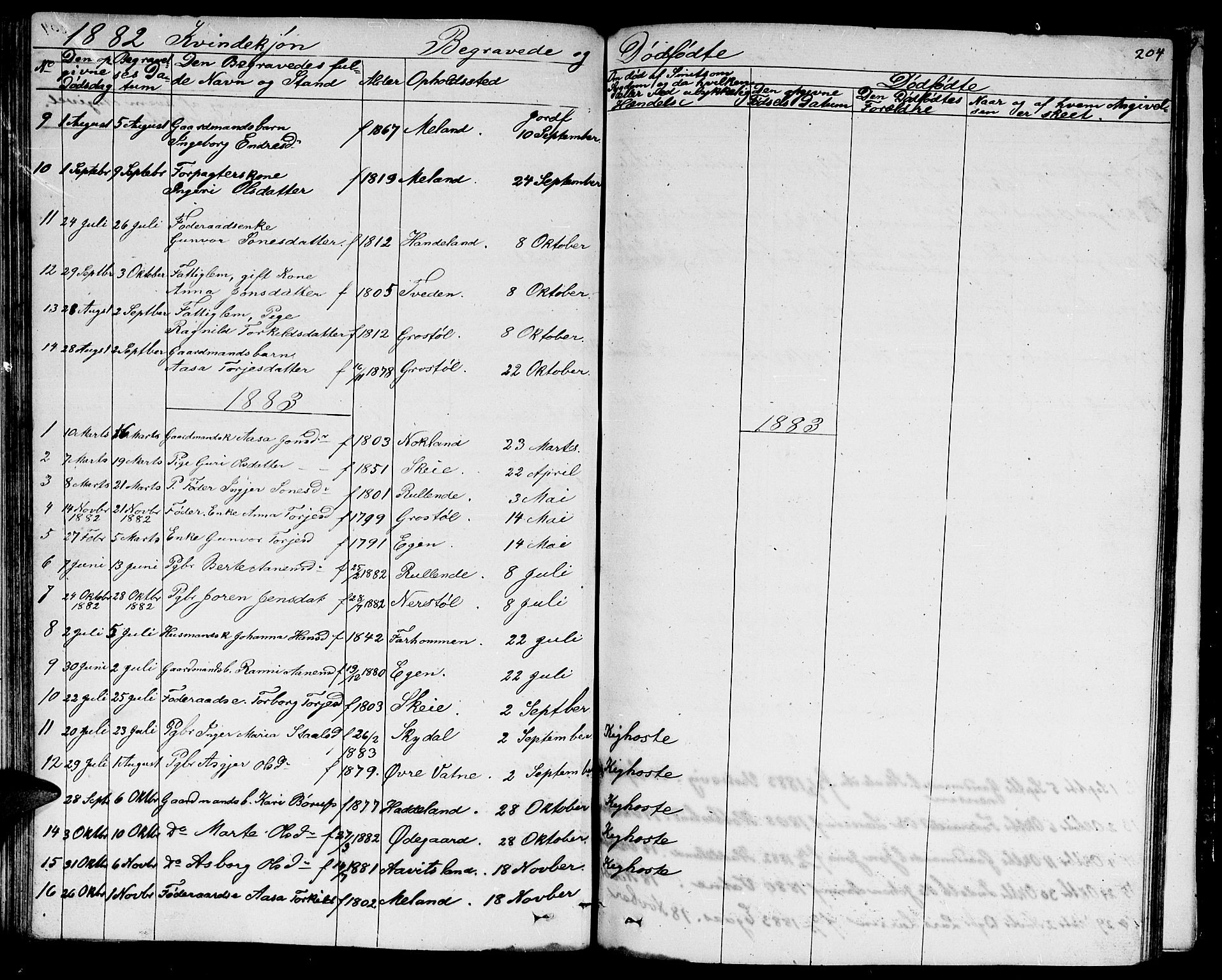 Hægebostad sokneprestkontor, AV/SAK-1111-0024/F/Fb/Fbb/L0002: Parish register (copy) no. B 2, 1851-1886, p. 204