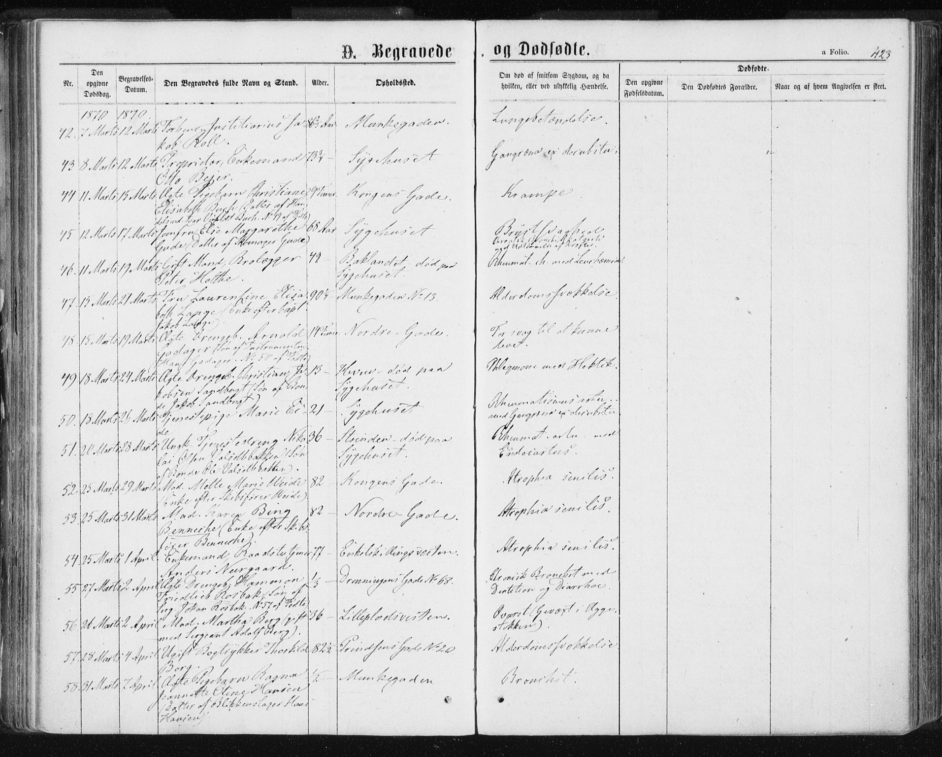 Ministerialprotokoller, klokkerbøker og fødselsregistre - Sør-Trøndelag, SAT/A-1456/601/L0055: Parish register (official) no. 601A23, 1866-1877, p. 423