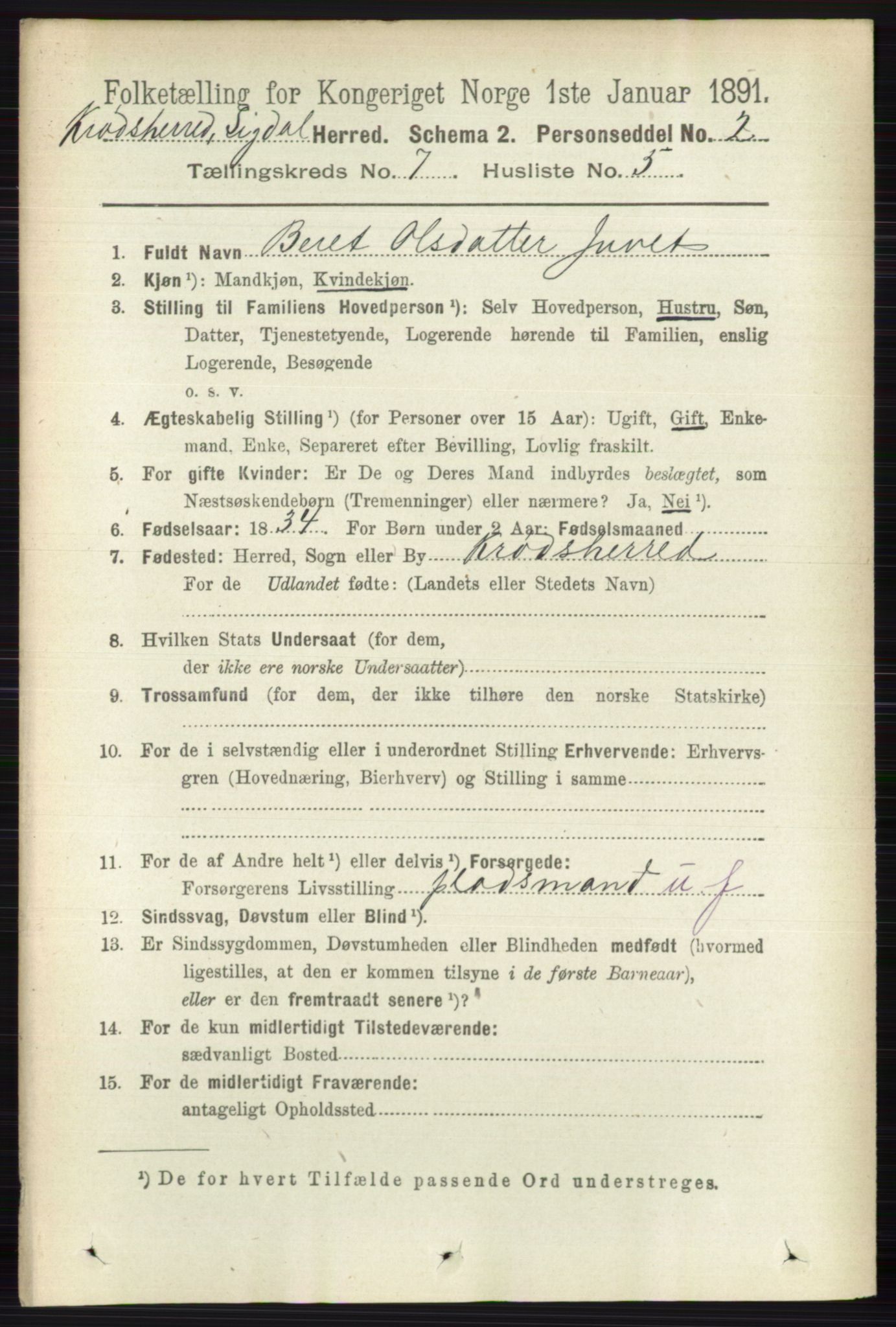 RA, 1891 census for 0621 Sigdal, 1891, p. 7051