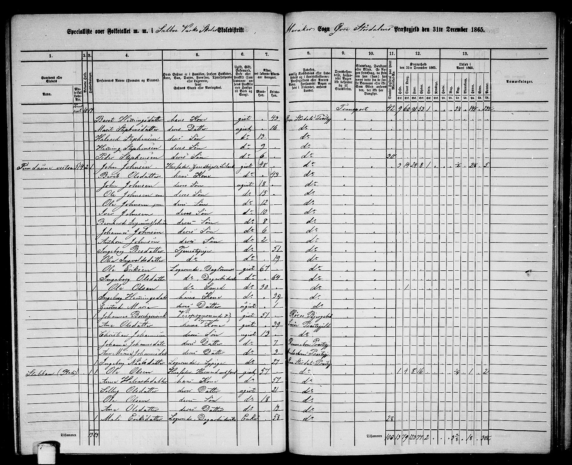 RA, 1865 census for Øvre Stjørdal, 1865, p. 171