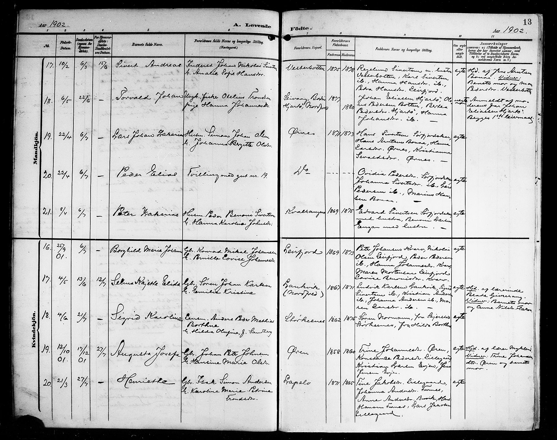 Ministerialprotokoller, klokkerbøker og fødselsregistre - Nordland, AV/SAT-A-1459/854/L0786: Parish register (copy) no. 854C02, 1901-1912, p. 13