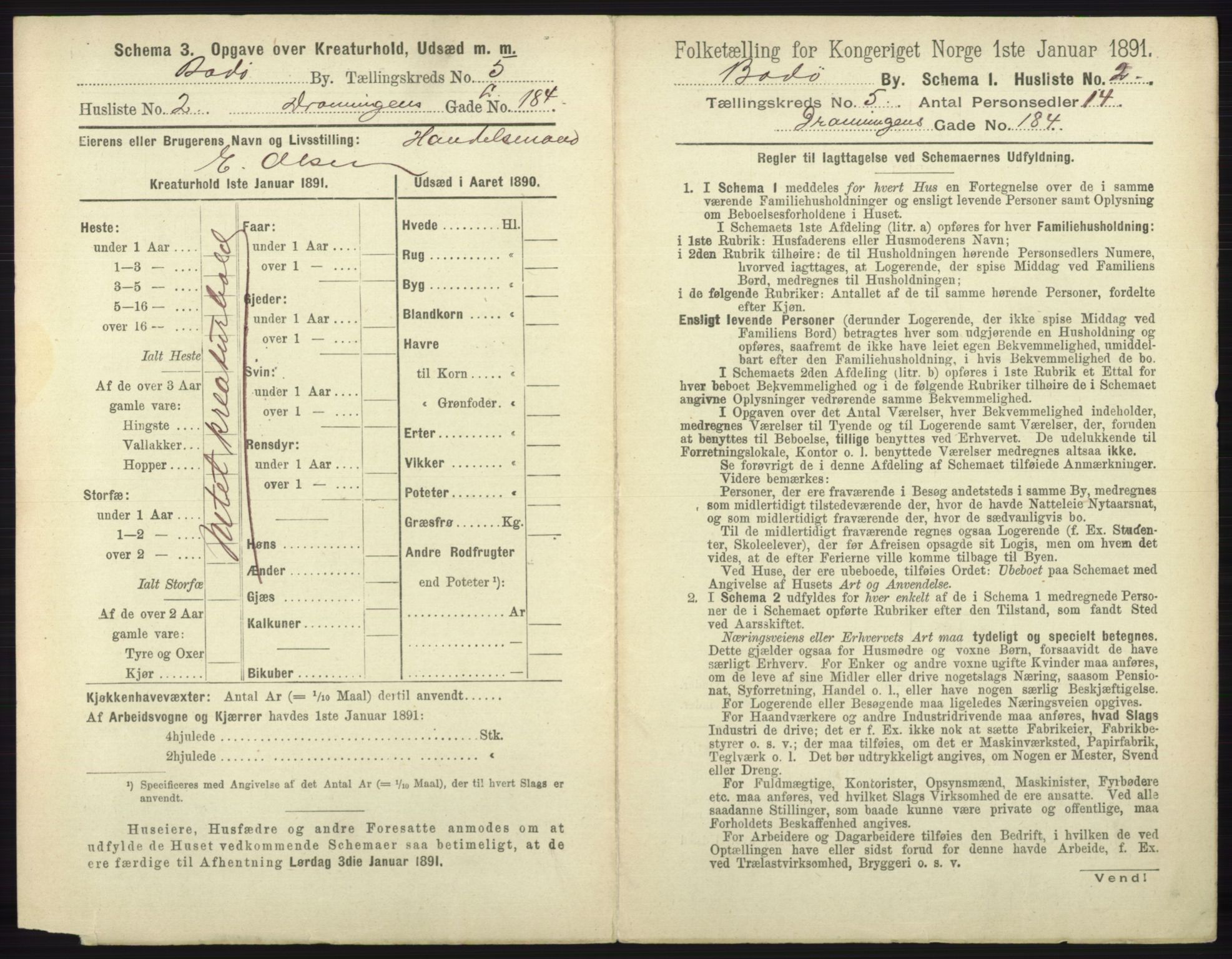 RA, 1891 census for 1804 Bodø, 1891, p. 3805