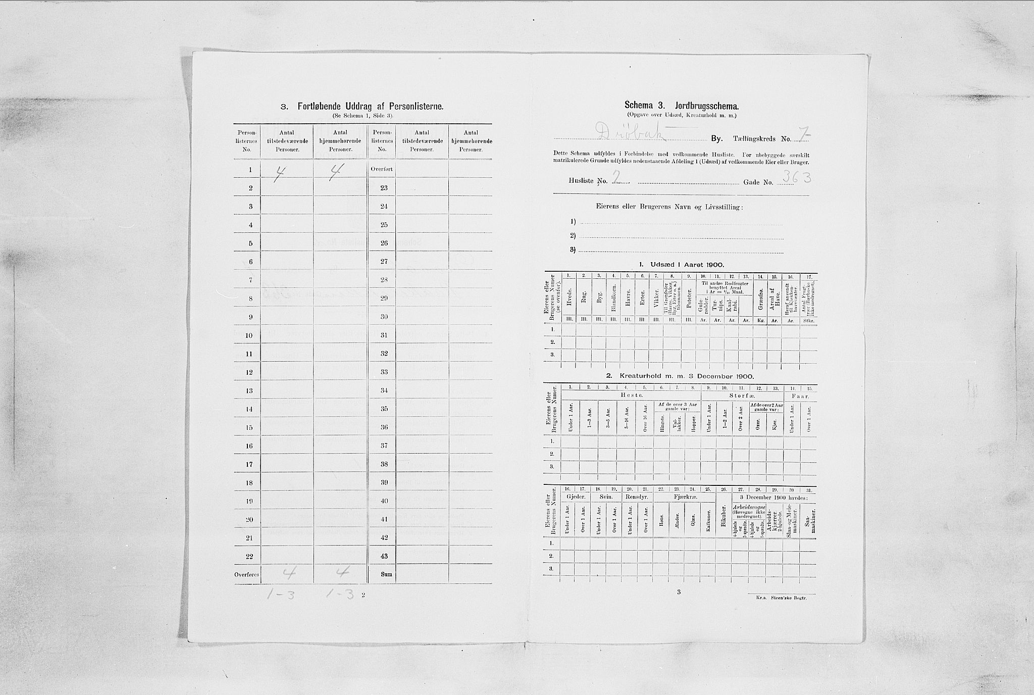 SAO, 1900 census for Drøbak, 1900