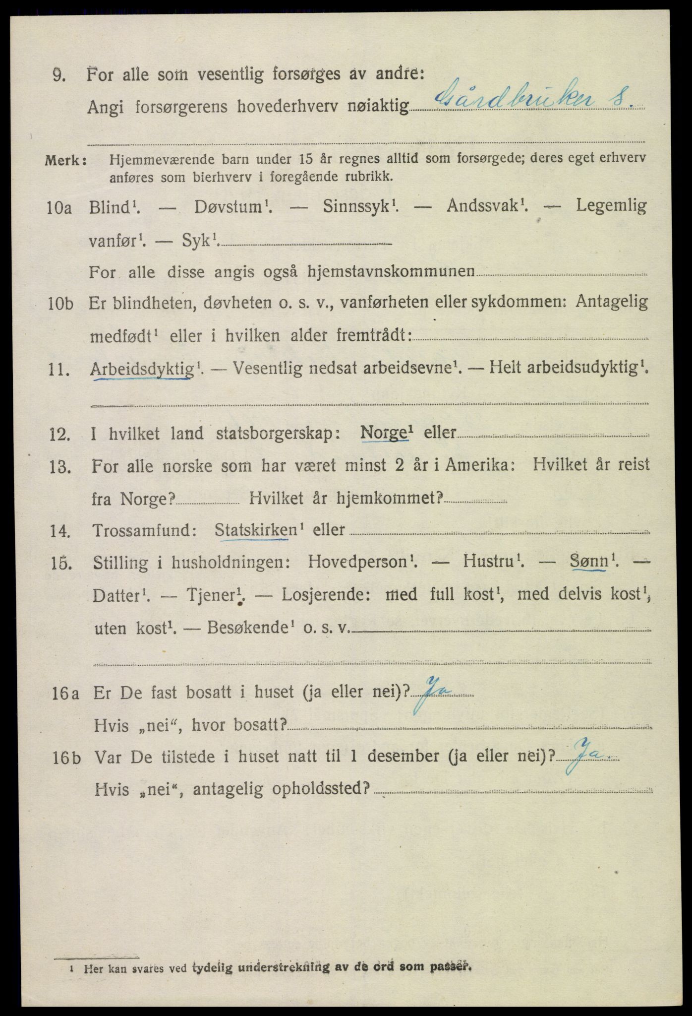 SAK, 1920 census for Hornnes, 1920, p. 2916