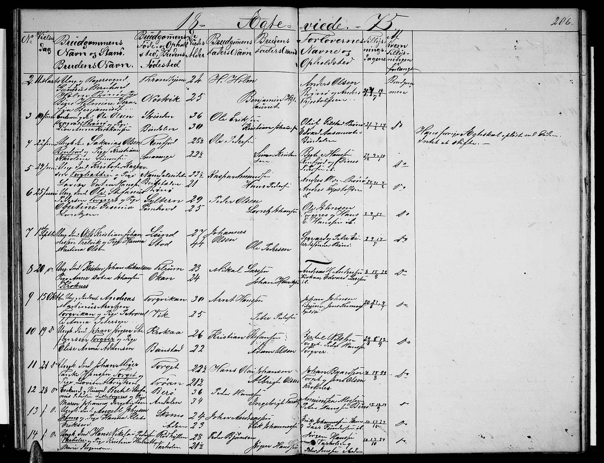 Ministerialprotokoller, klokkerbøker og fødselsregistre - Nordland, SAT/A-1459/813/L0212: Parish register (copy) no. 813C04, 1864-1886, p. 206