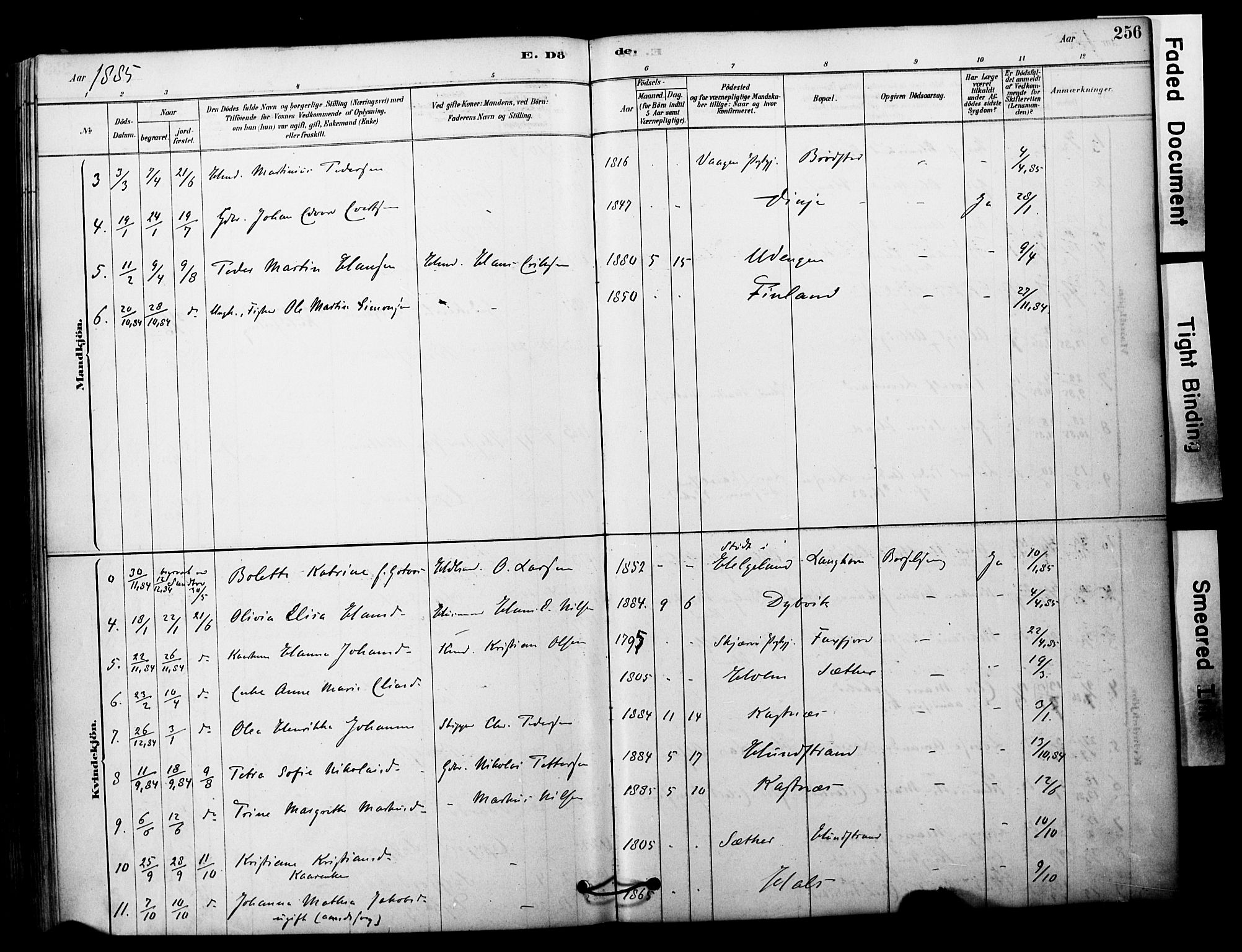 Tranøy sokneprestkontor, SATØ/S-1313/I/Ia/Iaa/L0011kirke: Parish register (official) no. 11, 1878-1904, p. 256