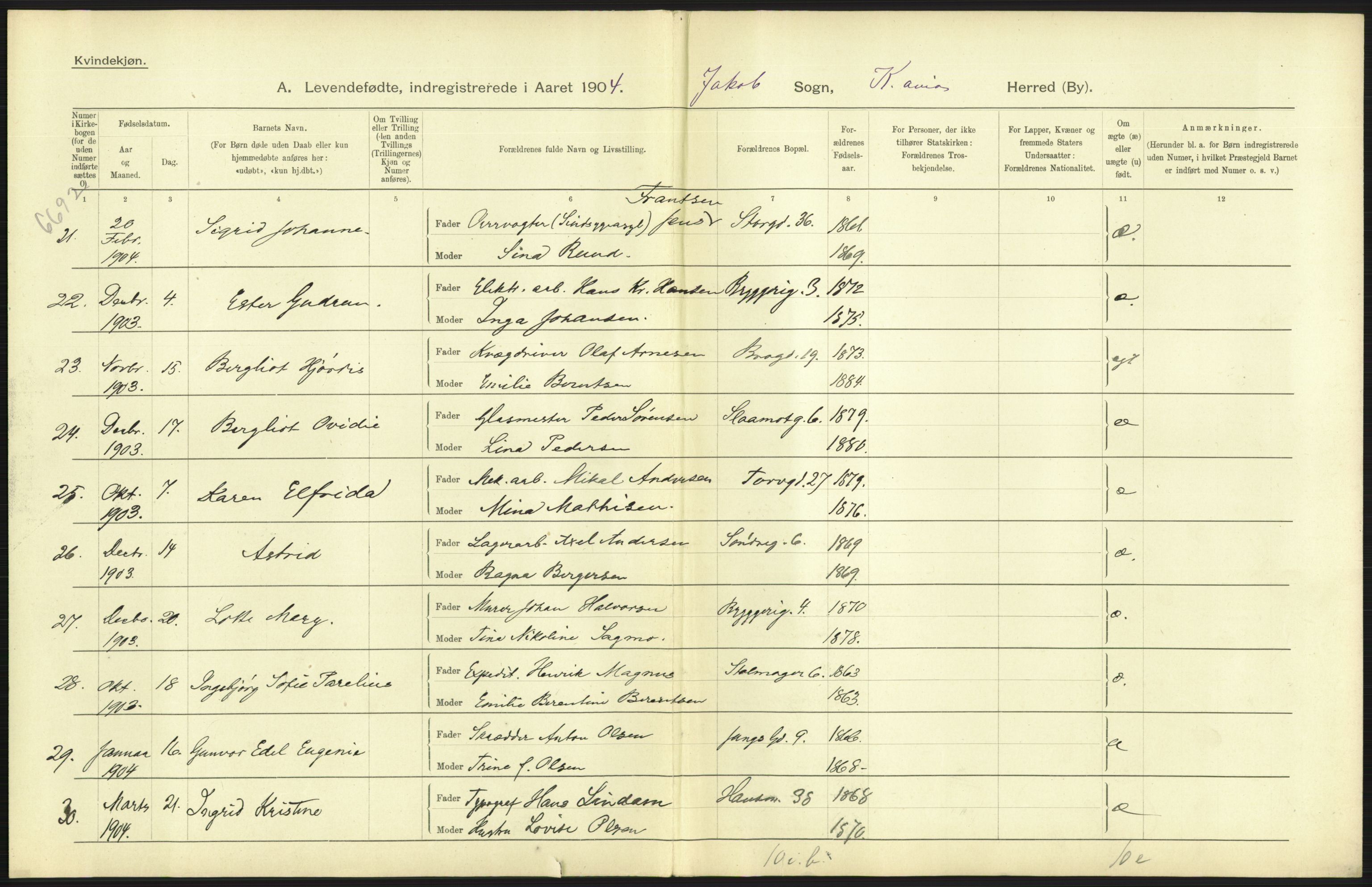 Statistisk sentralbyrå, Sosiodemografiske emner, Befolkning, AV/RA-S-2228/D/Df/Dfa/Dfab/L0003: Kristiania: Fødte, 1904, p. 13