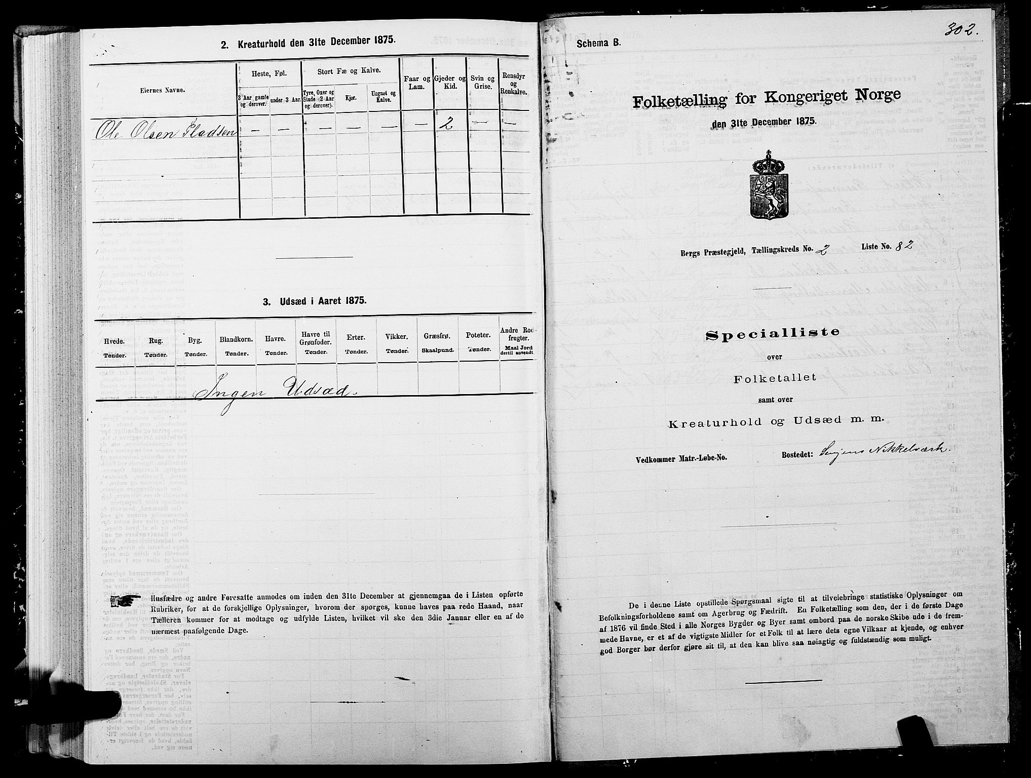 SATØ, 1875 census for 1929P Berg, 1875, p. 1302