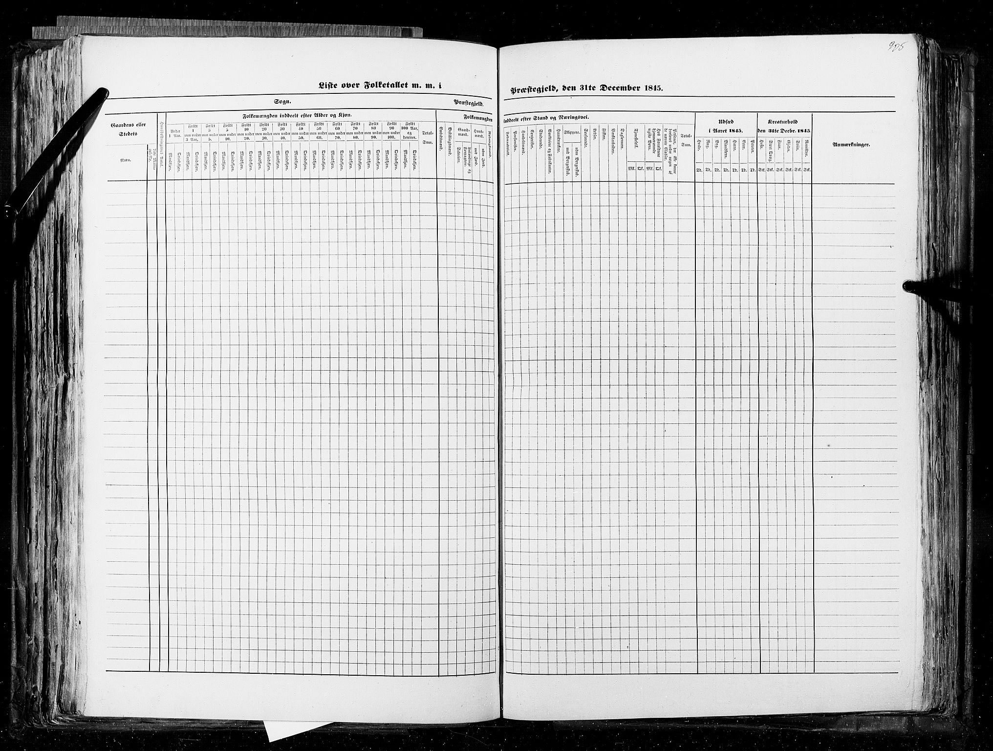 RA, Census 1845, vol. 5: Bratsberg amt og Nedenes og Råbyggelaget amt, 1845, p. 205