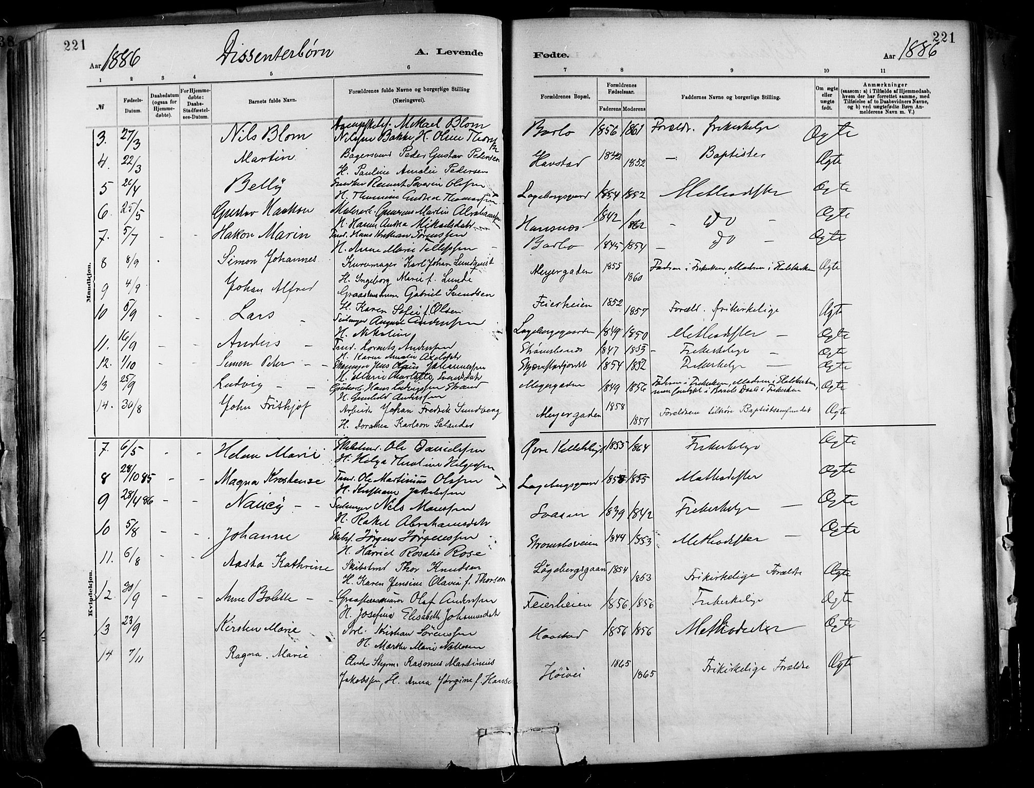 Barbu sokneprestkontor, SAK/1111-0003/F/Fa/L0002: Parish register (official) no. A 2, 1883-1898, p. 221
