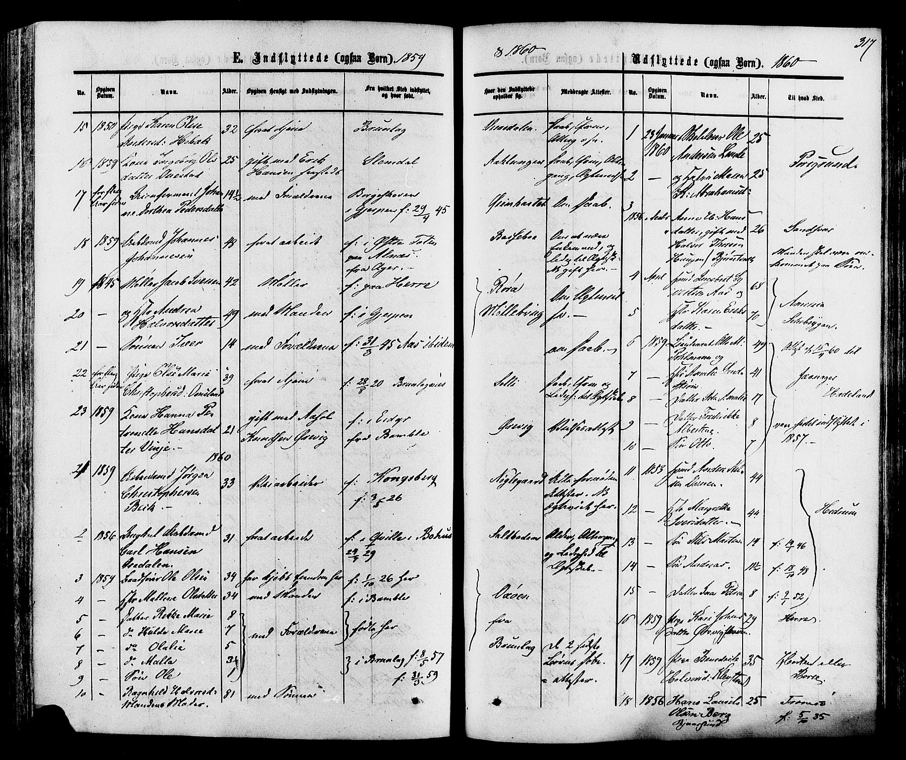 Eidanger kirkebøker, SAKO/A-261/F/Fa/L0010: Parish register (official) no. 10, 1859-1874, p. 317