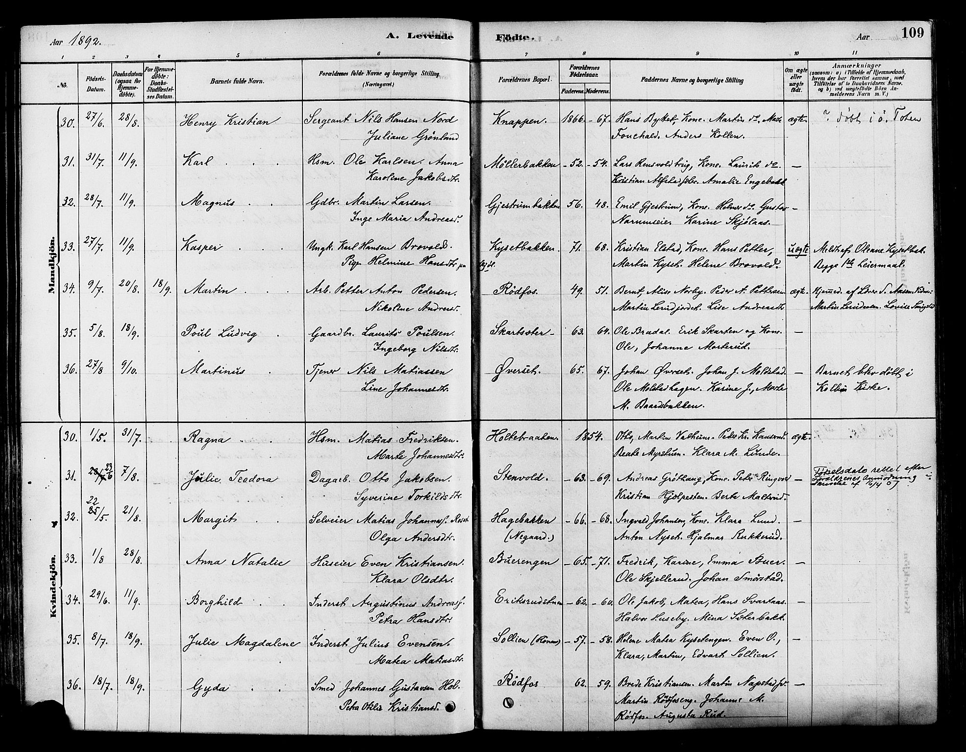 Vestre Toten prestekontor, AV/SAH-PREST-108/H/Ha/Haa/L0009: Parish register (official) no. 9, 1878-1894, p. 109