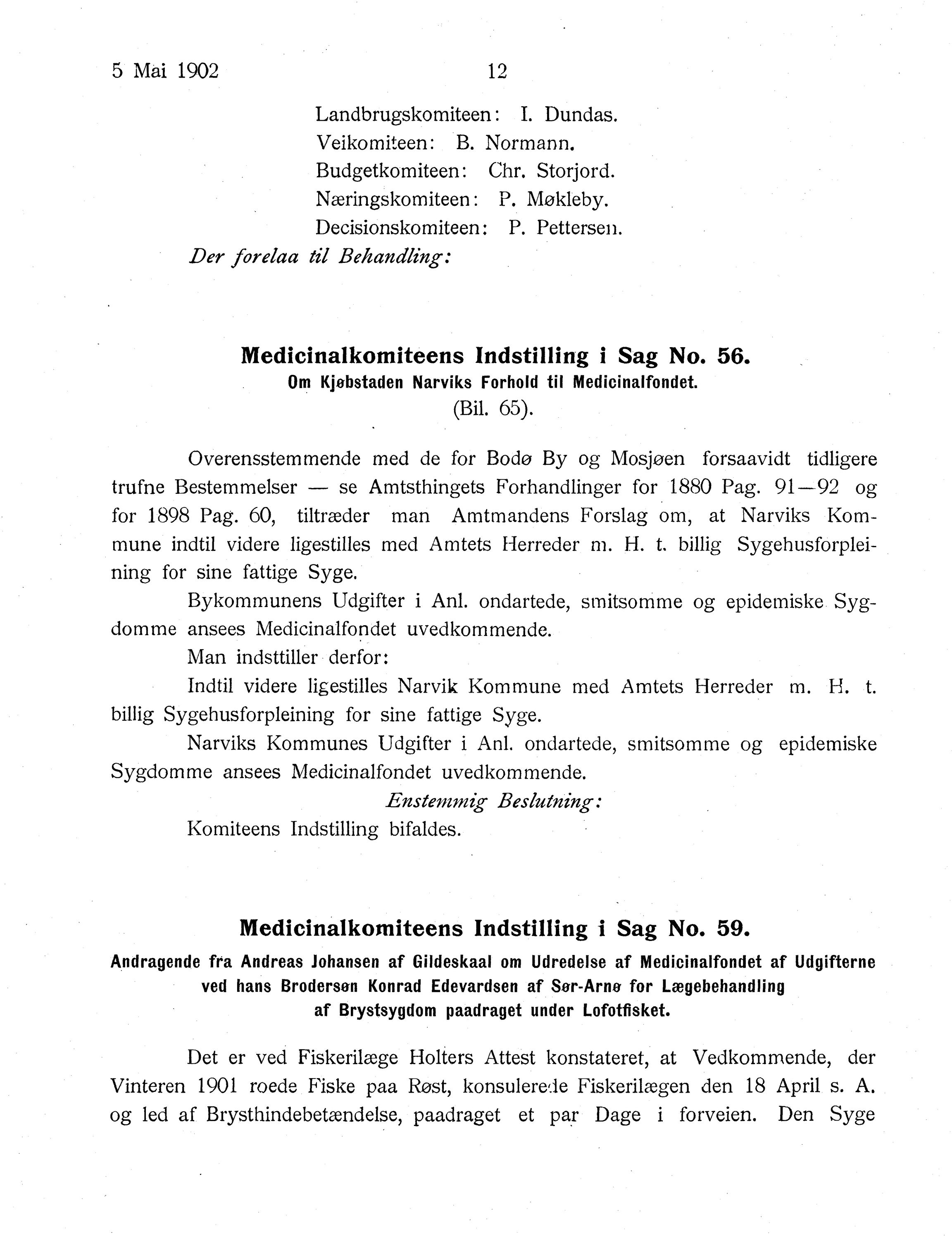 Nordland Fylkeskommune. Fylkestinget, AIN/NFK-17/176/A/Ac/L0025: Fylkestingsforhandlinger 1902, 1902