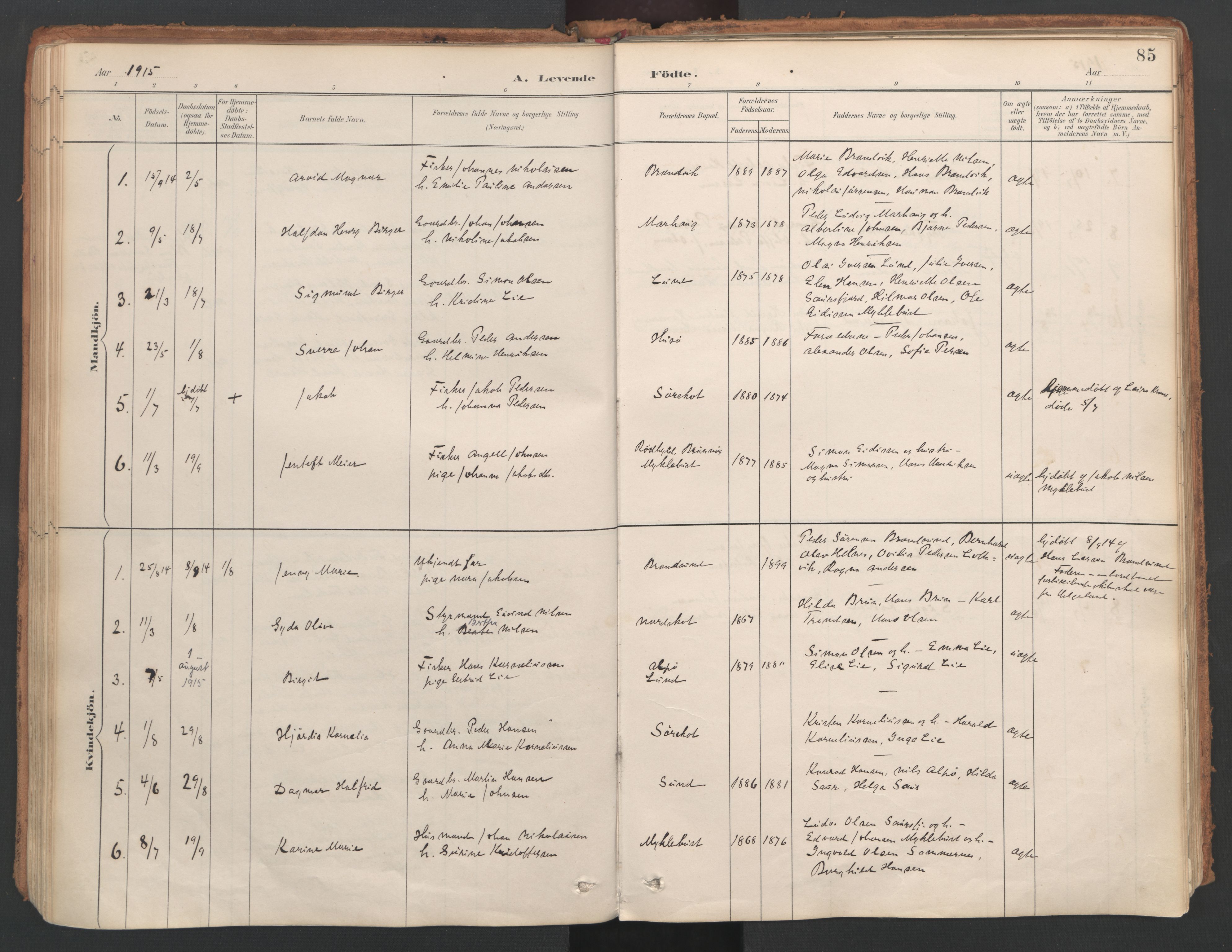 Ministerialprotokoller, klokkerbøker og fødselsregistre - Nordland, AV/SAT-A-1459/857/L0822: Parish register (official) no. 857A02, 1890-1917, p. 85