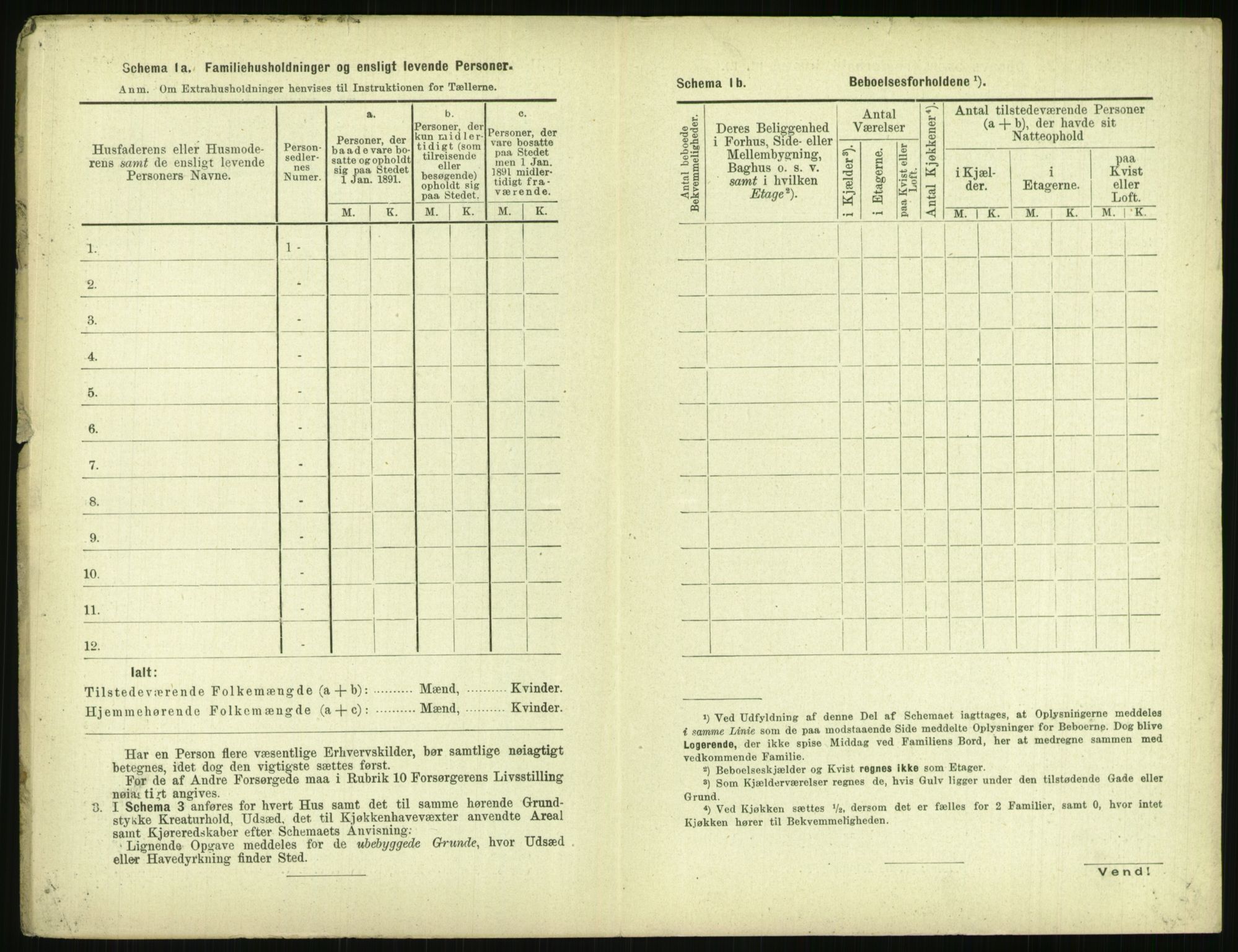 RA, 1891 census for 0806 Skien, 1891, p. 1067