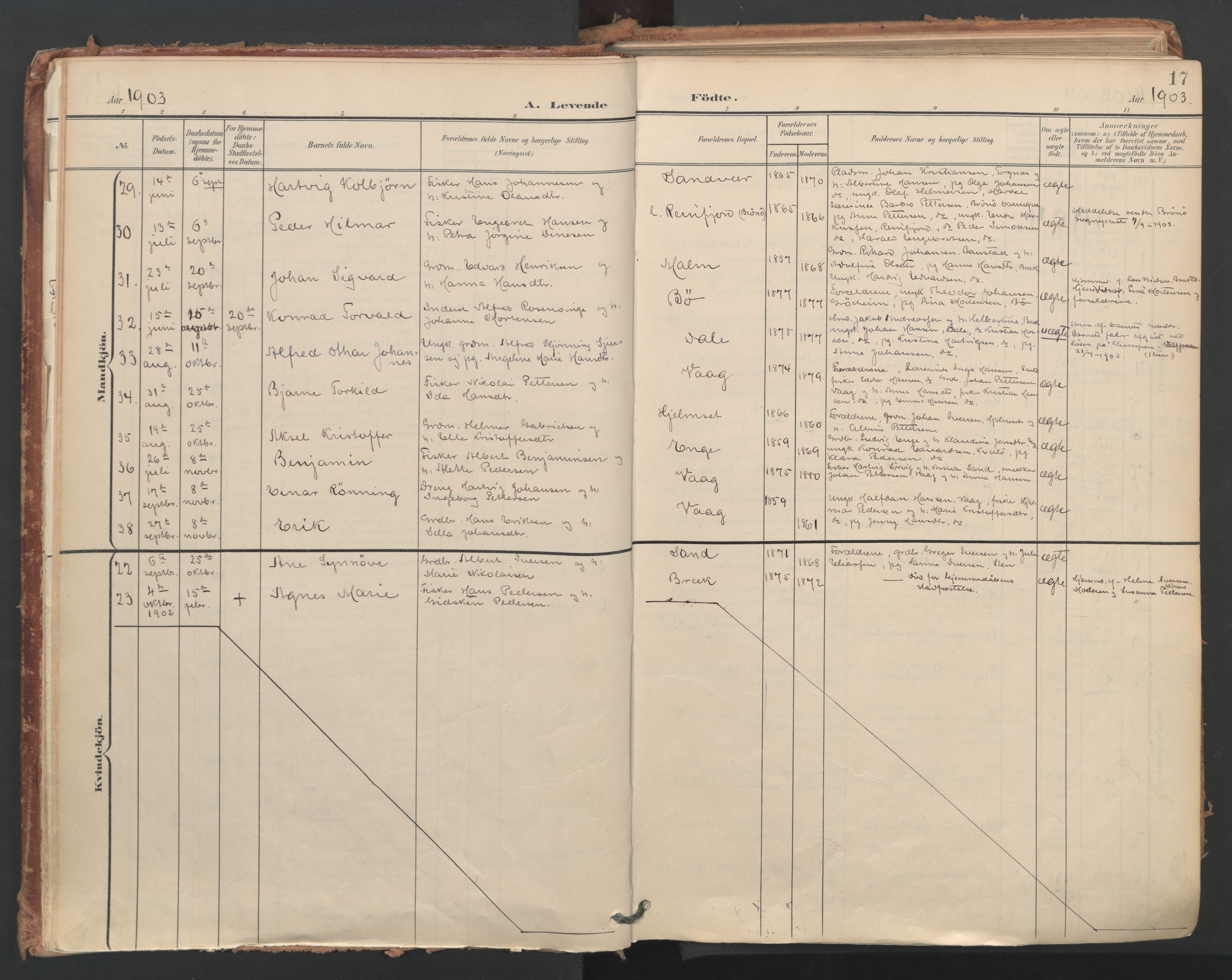 Ministerialprotokoller, klokkerbøker og fødselsregistre - Nordland, AV/SAT-A-1459/812/L0180: Parish register (official) no. 812A09, 1901-1915, p. 17