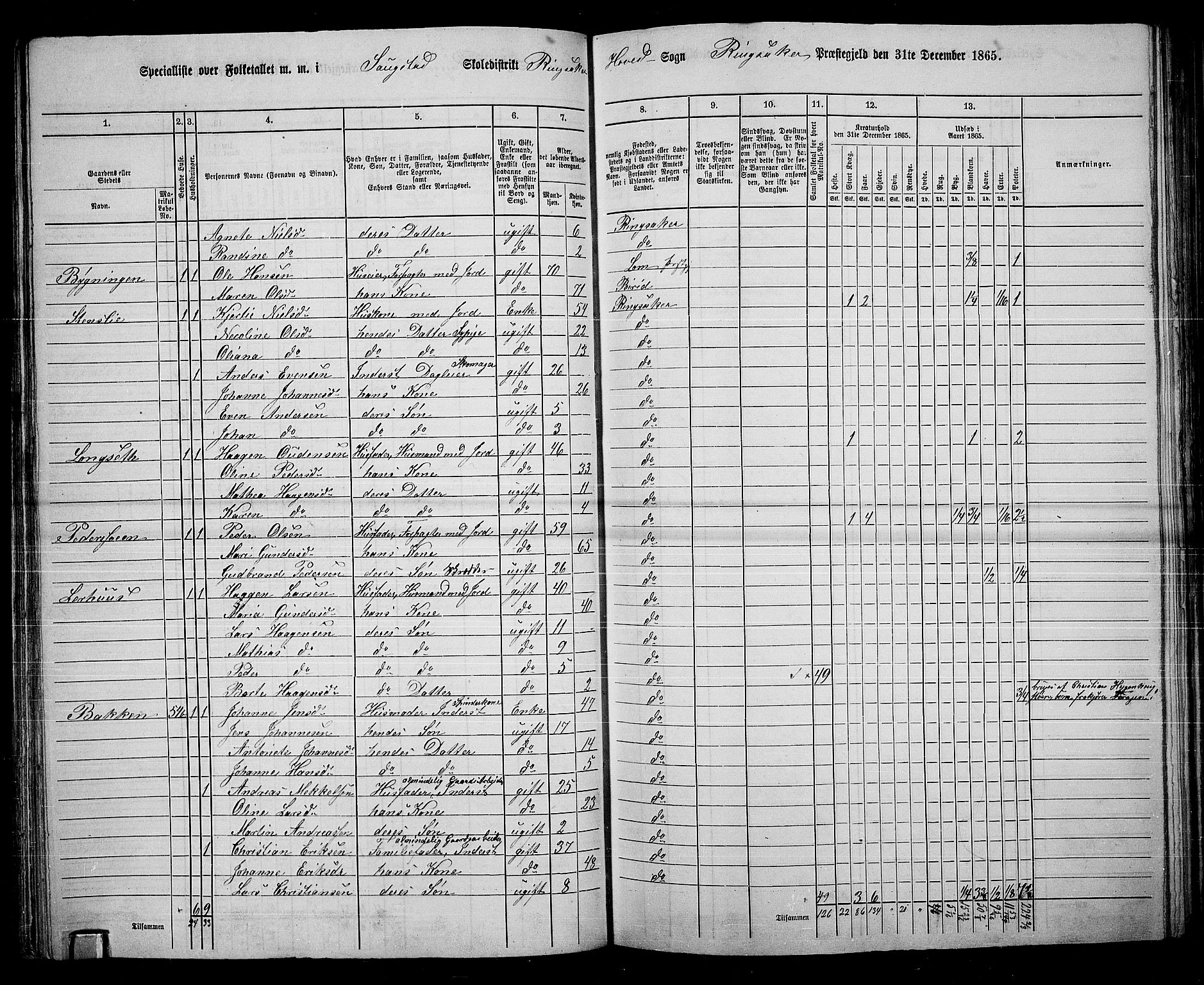 RA, 1865 census for Ringsaker, 1865, p. 104