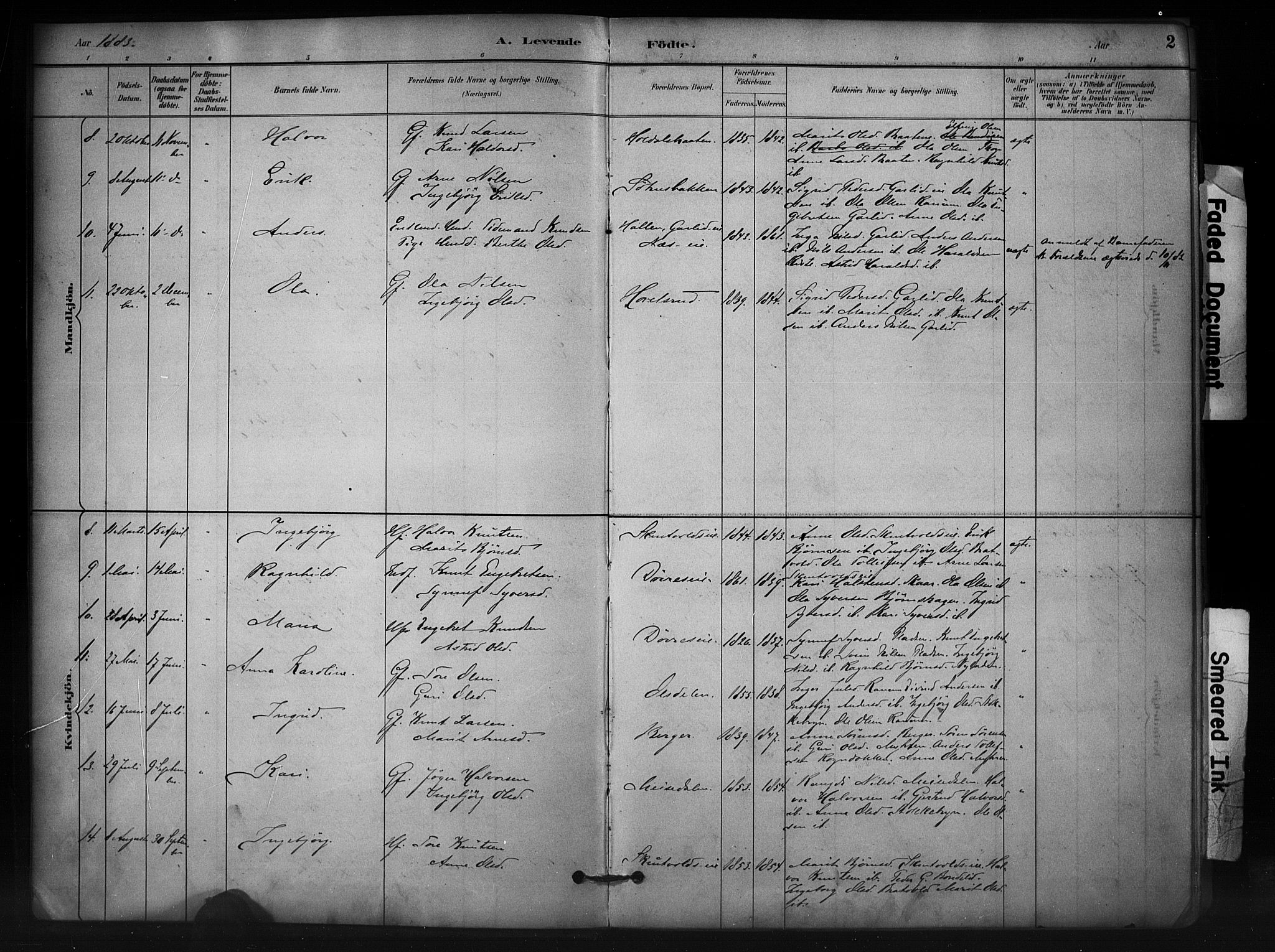Nord-Aurdal prestekontor, SAH/PREST-132/H/Ha/Haa/L0012: Parish register (official) no. 12, 1883-1895, p. 2
