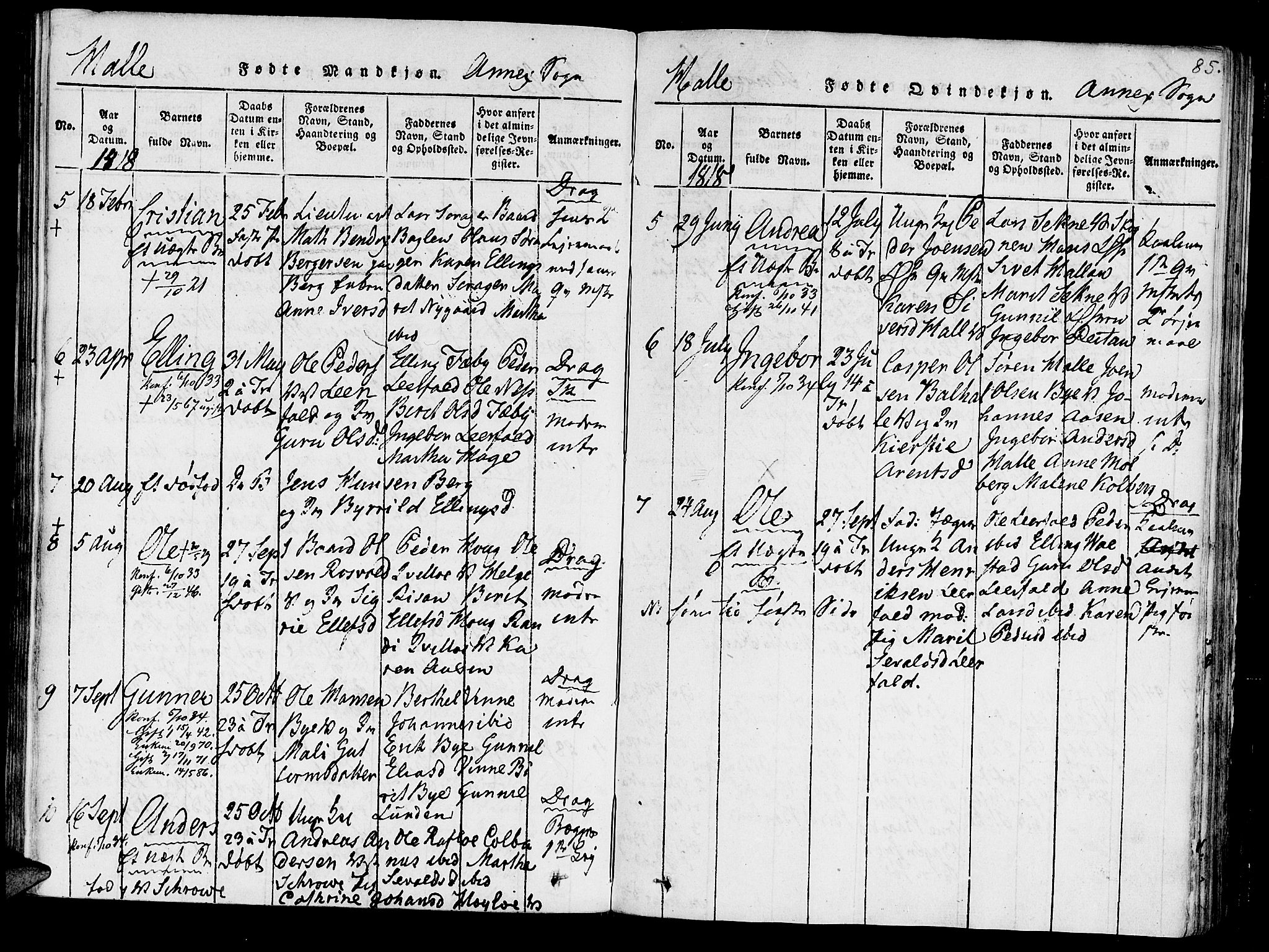 Ministerialprotokoller, klokkerbøker og fødselsregistre - Nord-Trøndelag, SAT/A-1458/723/L0234: Parish register (official) no. 723A05 /3, 1817-1821, p. 85