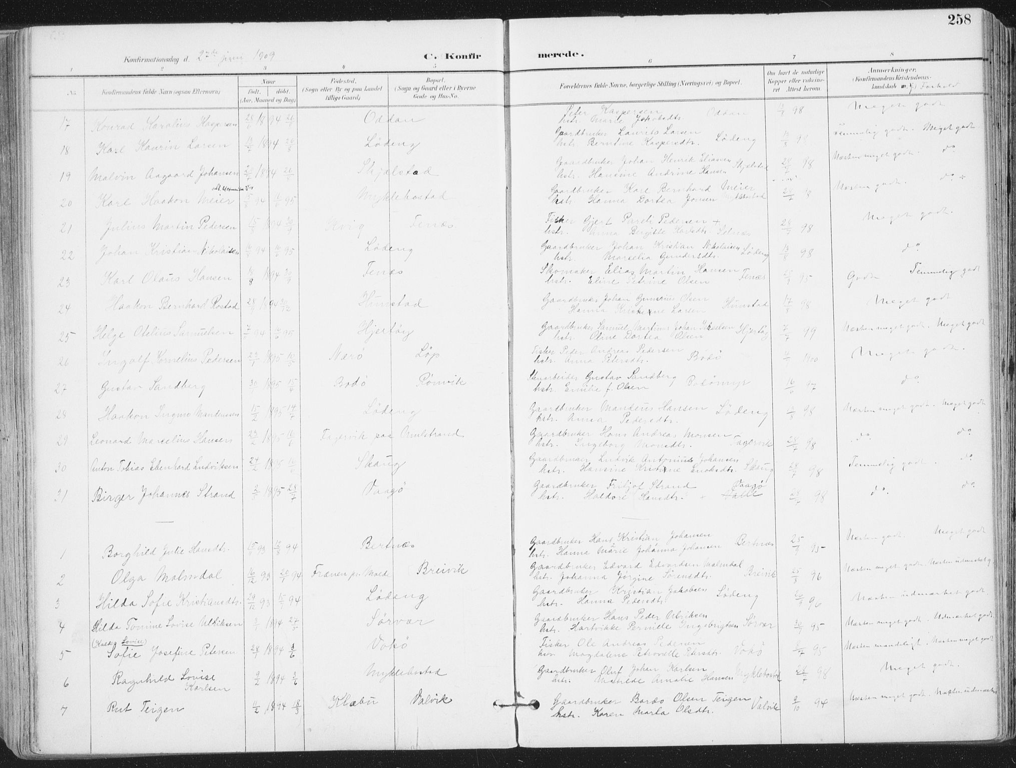 Ministerialprotokoller, klokkerbøker og fødselsregistre - Nordland, SAT/A-1459/802/L0055: Parish register (official) no. 802A02, 1894-1915, p. 258