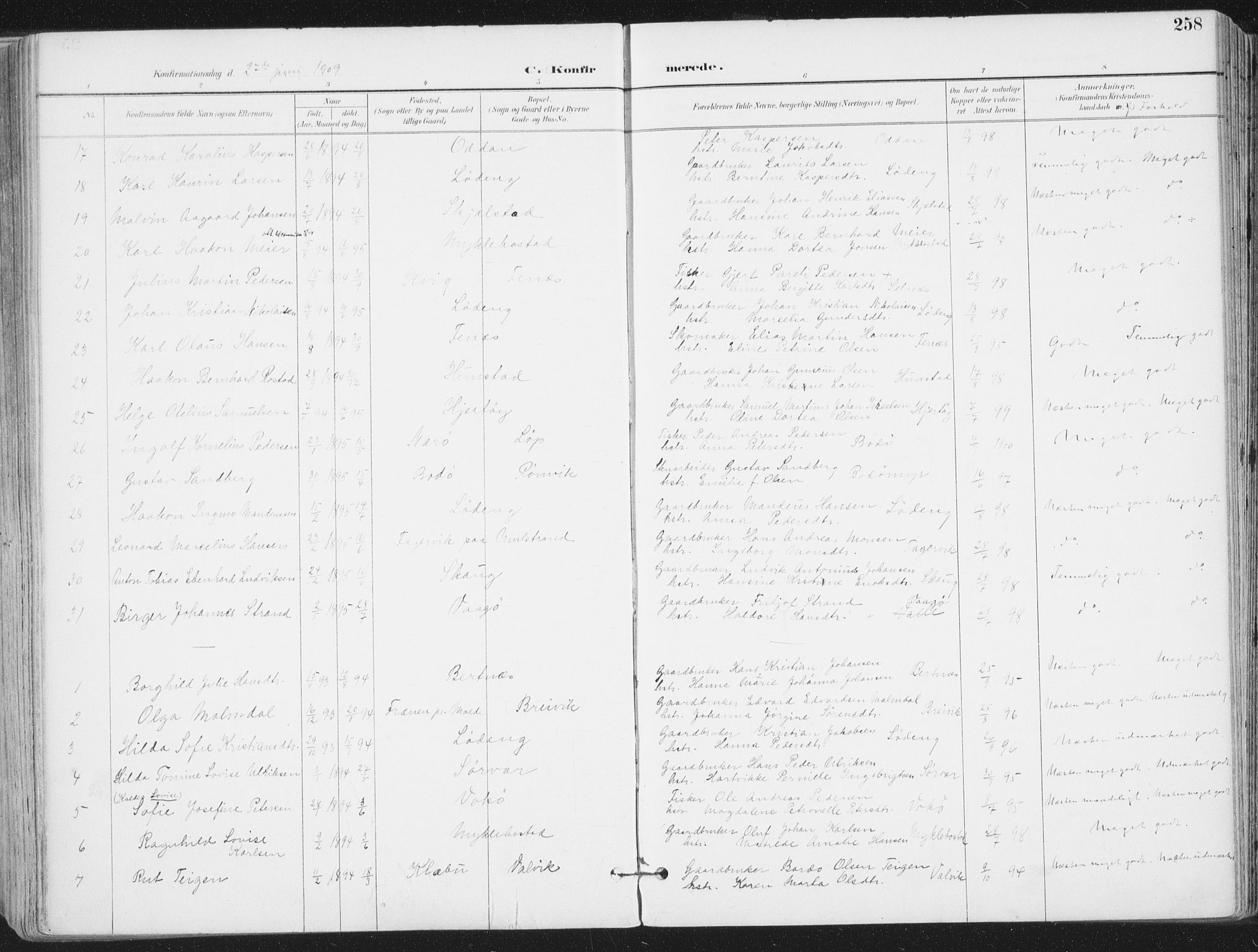 Ministerialprotokoller, klokkerbøker og fødselsregistre - Nordland, AV/SAT-A-1459/802/L0055: Parish register (official) no. 802A02, 1894-1915, p. 258