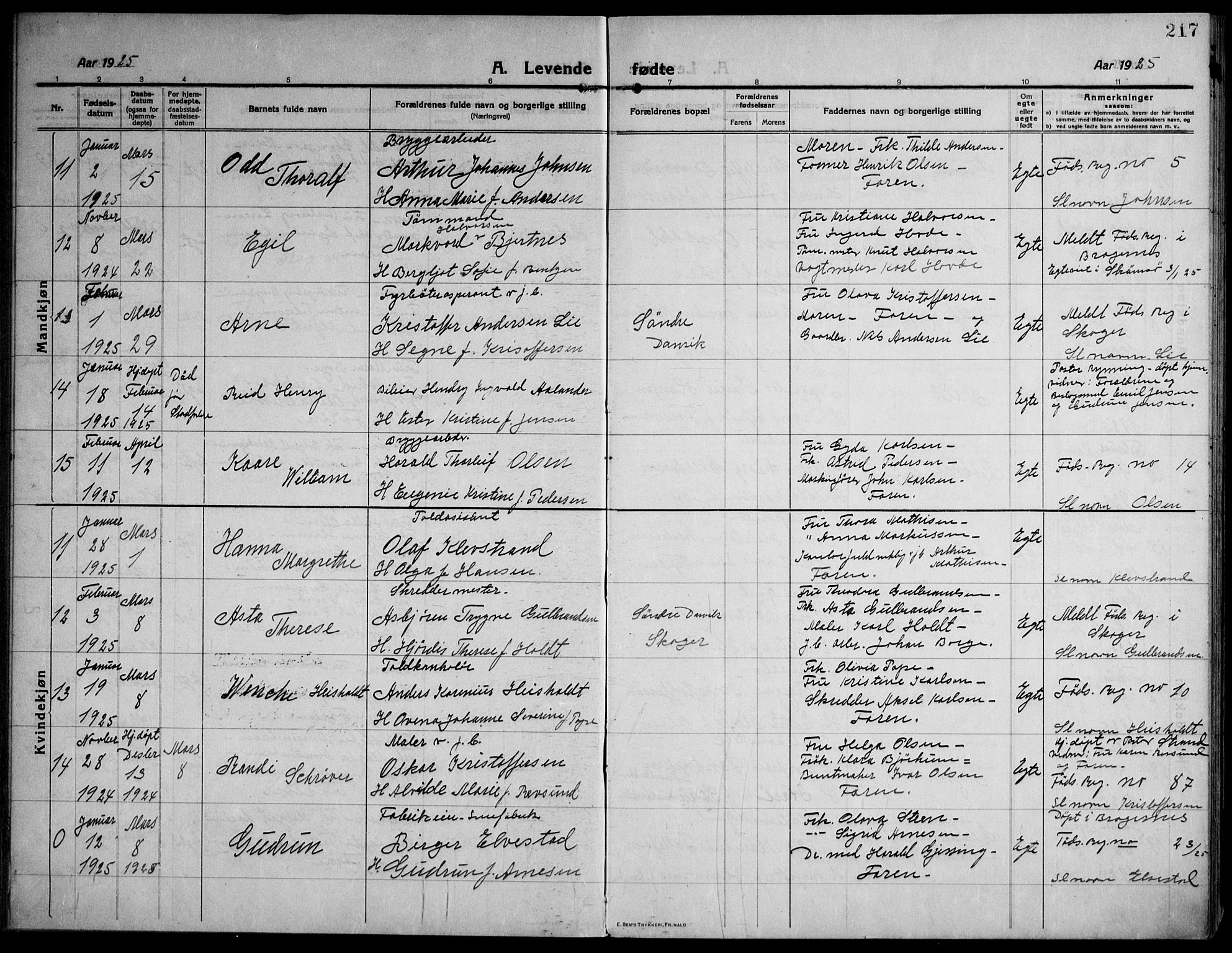 Strømsø kirkebøker, AV/SAKO-A-246/F/Fa/L0029: Parish register (official) no. I 27, 1915-1930, p. 217