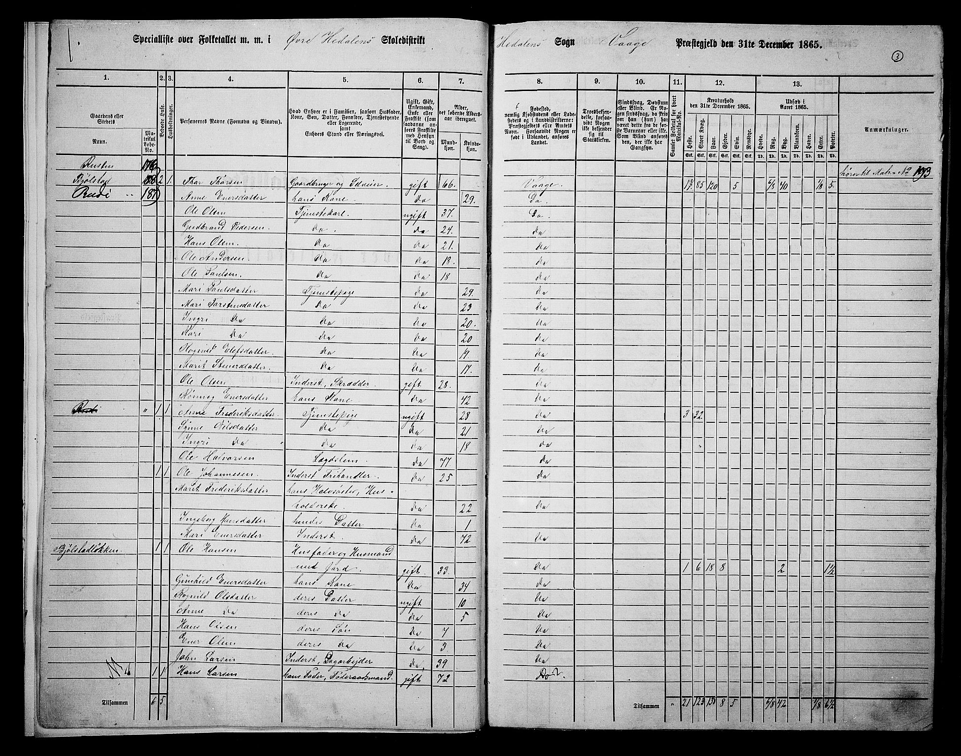 RA, 1865 census for Vågå, 1865, p. 170