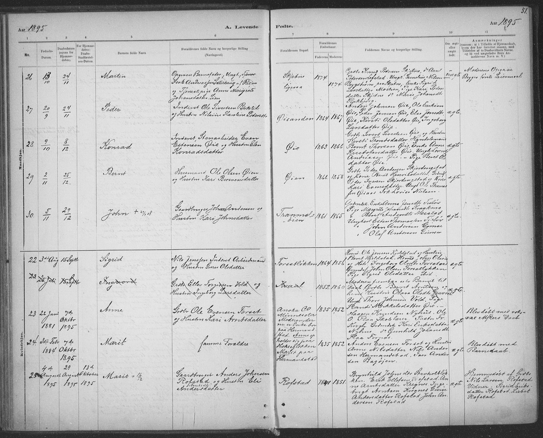Ministerialprotokoller, klokkerbøker og fødselsregistre - Sør-Trøndelag, SAT/A-1456/691/L1085: Parish register (official) no. 691A17, 1887-1908, p. 51