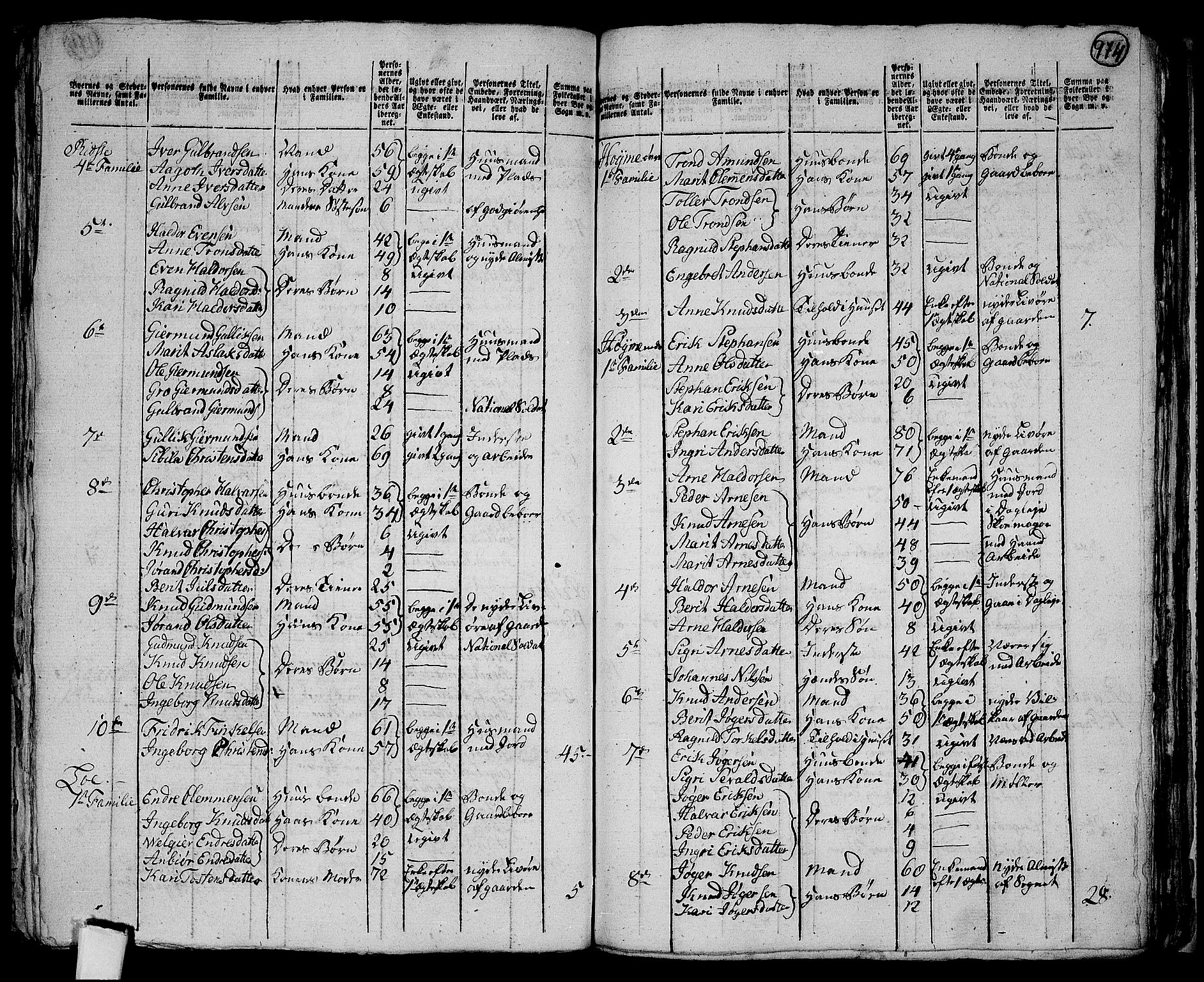 RA, 1801 census for 0543P Slidre, 1801, p. 973b-974a
