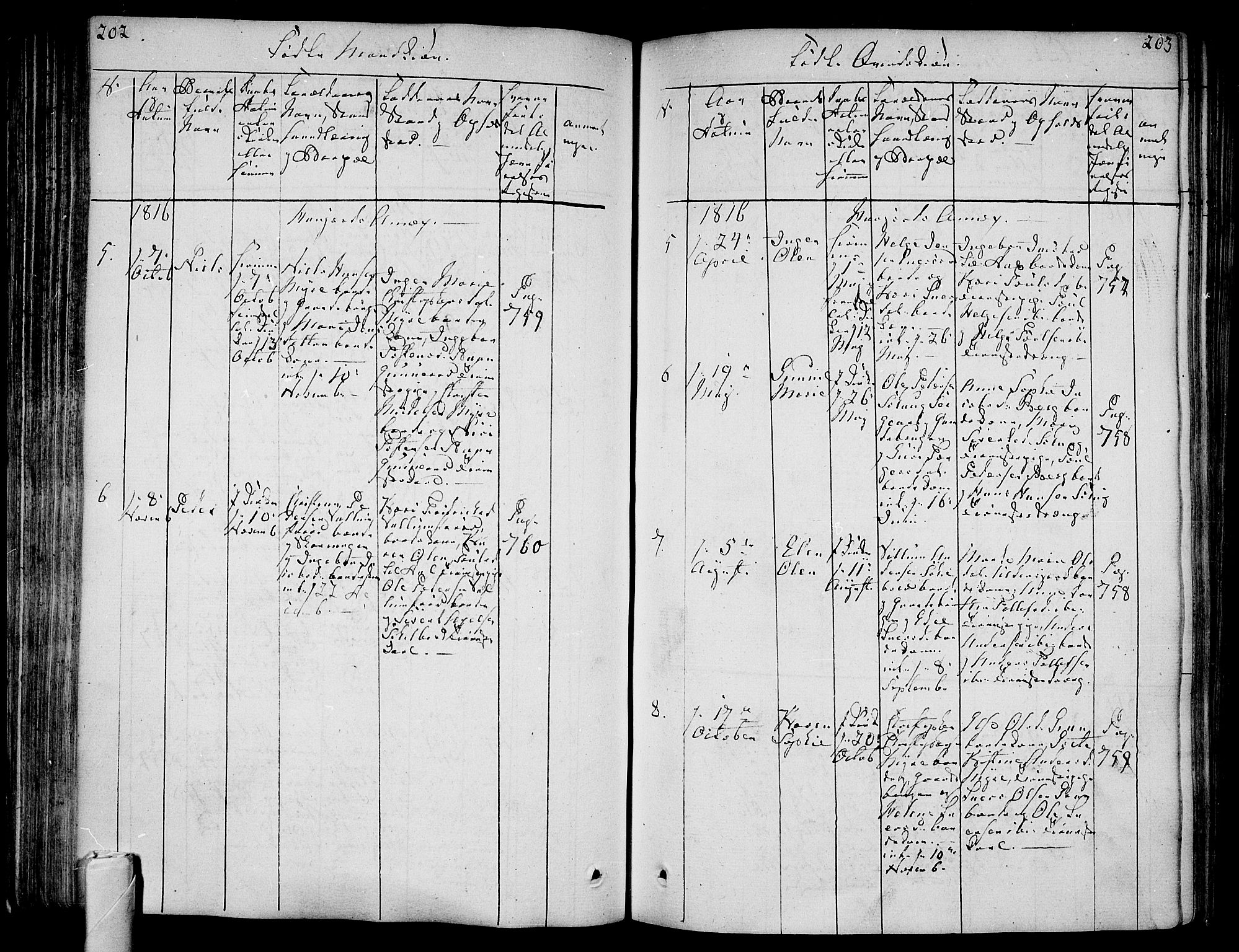 Andebu kirkebøker, AV/SAKO-A-336/F/Fa/L0003: Parish register (official) no. 3 /2, 1815-1828, p. 202-203