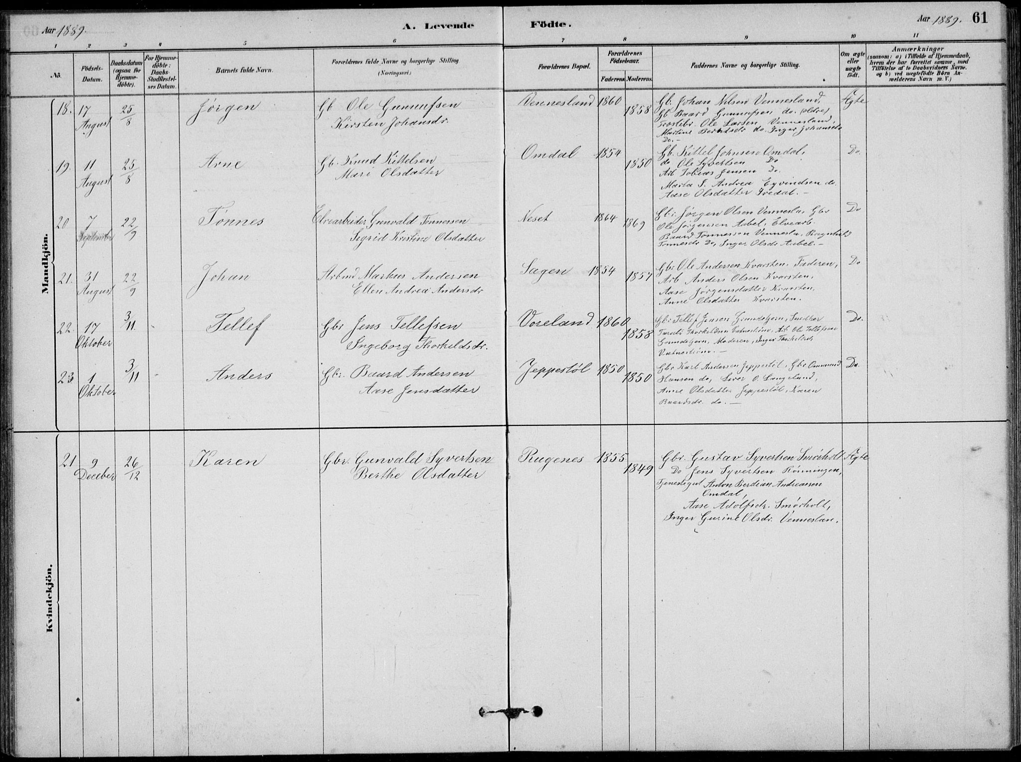 Vennesla sokneprestkontor, AV/SAK-1111-0045/Fb/Fbb/L0003: Parish register (copy) no. B 3, 1879-1893, p. 61