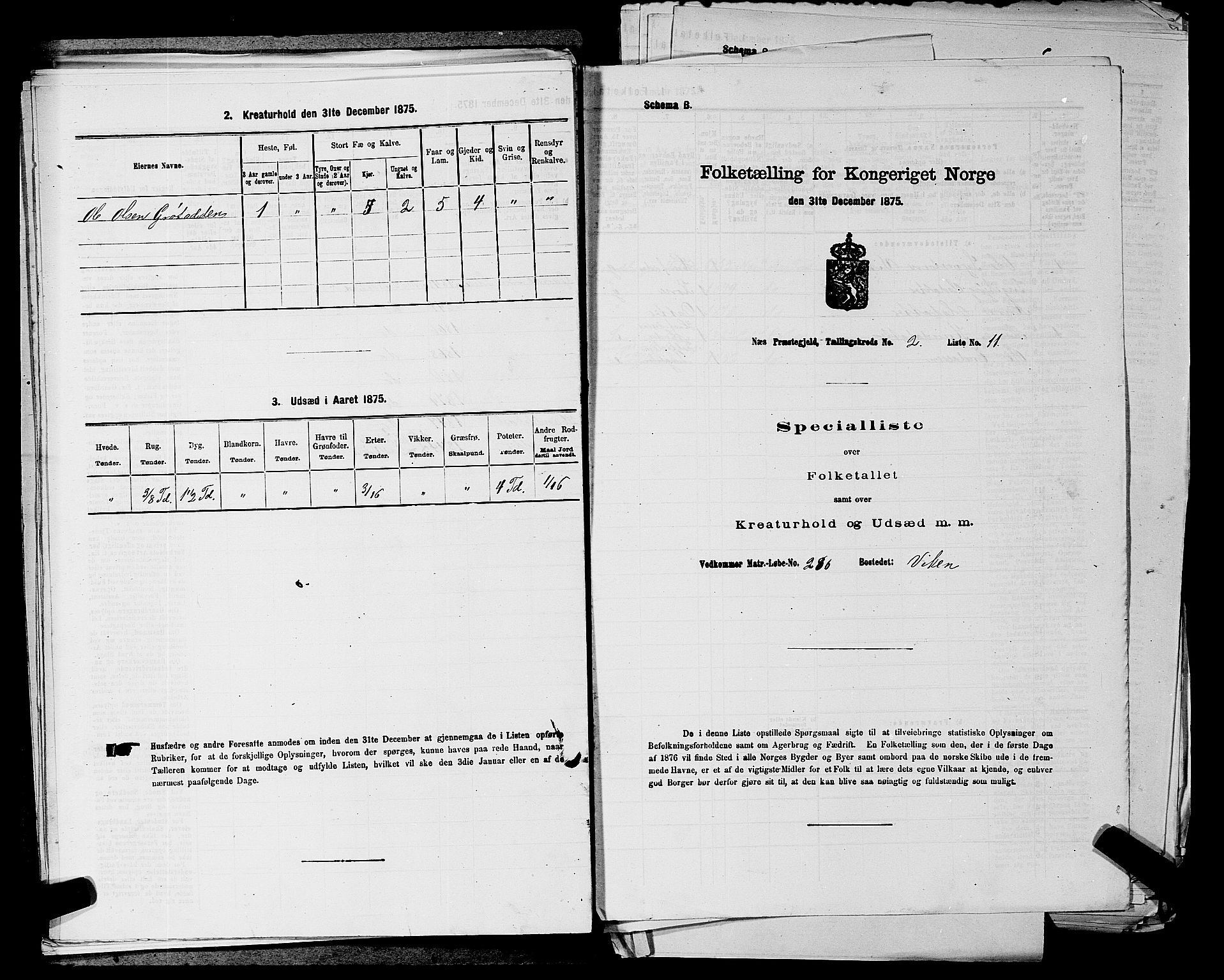 SAKO, 1875 census for 0616P Nes, 1875, p. 465