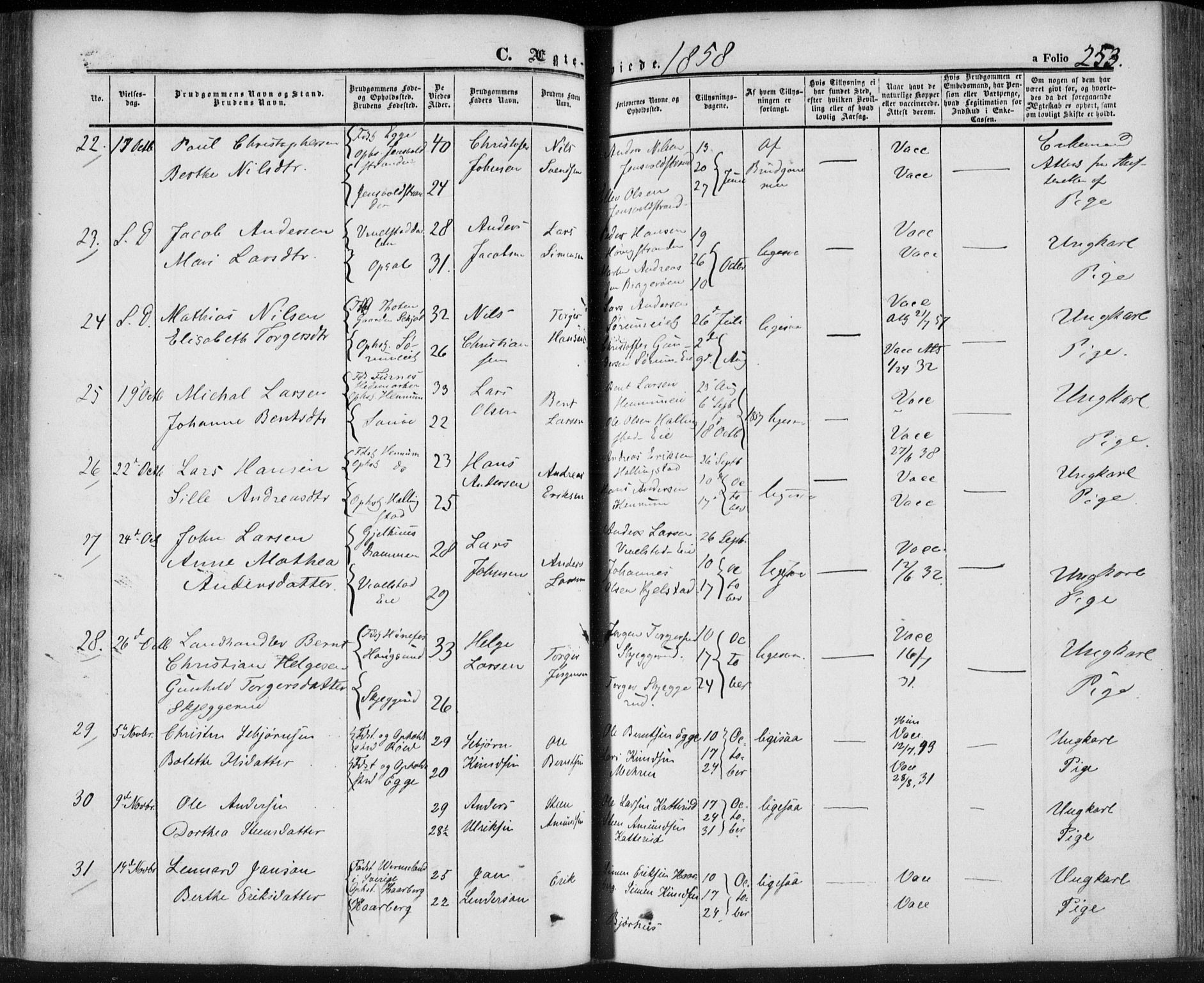 Lier kirkebøker, AV/SAKO-A-230/F/Fa/L0012: Parish register (official) no. I 12, 1854-1864, p. 253