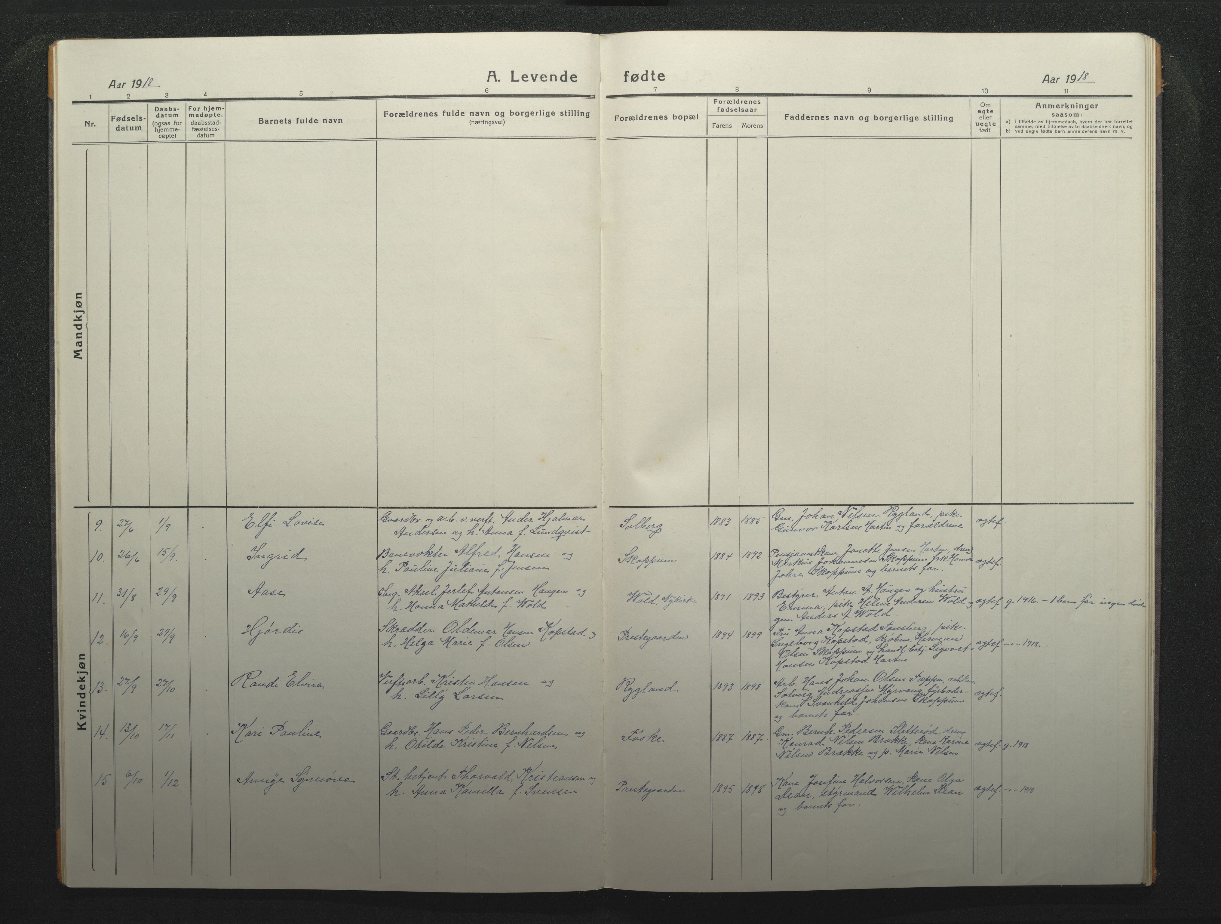 Borre kirkebøker, AV/SAKO-A-338/F/Fc/L0004: Parish register (official) no. III 4, 1918-1925