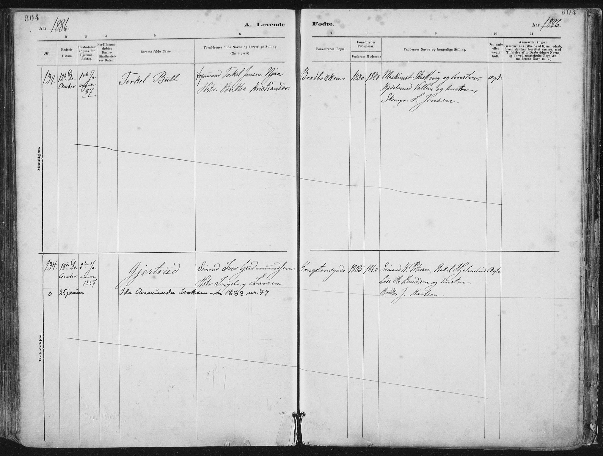 St. Petri sokneprestkontor, AV/SAST-A-101813/001/30/30BA/L0015: Parish register (official) no. A 15, 1879-1888, p. 304