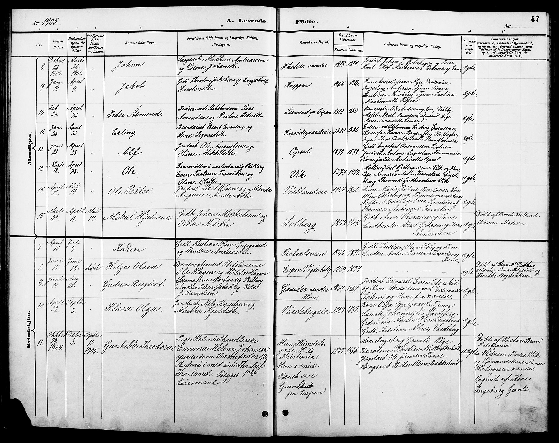 Stange prestekontor, AV/SAH-PREST-002/L/L0011: Parish register (copy) no. 11, 1895-1917, p. 47