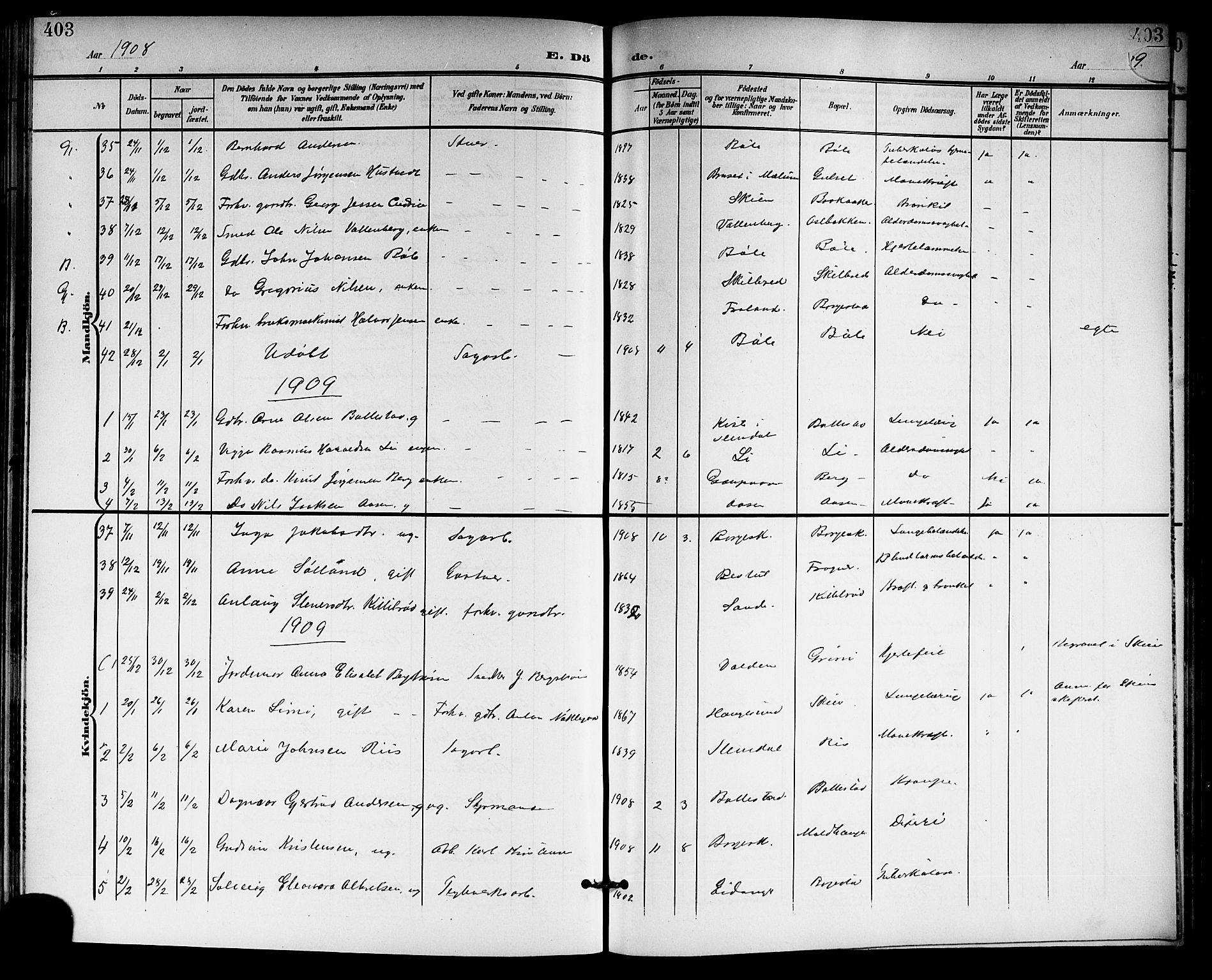 Gjerpen kirkebøker, SAKO/A-265/G/Ga/L0003: Parish register (copy) no. I 3, 1901-1919, p. 403