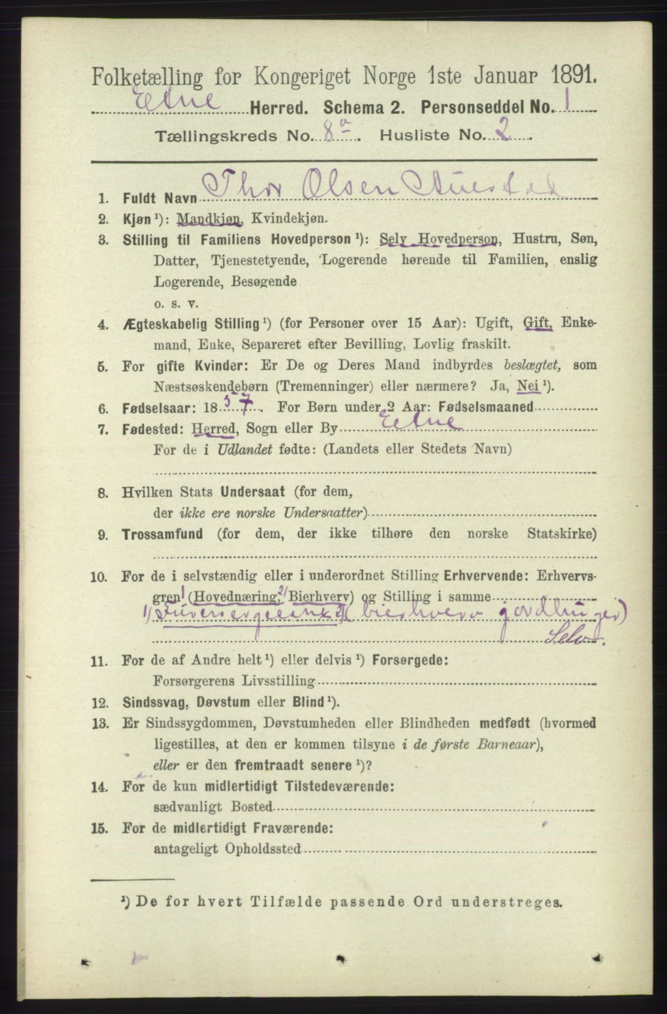 RA, 1891 census for 1211 Etne, 1891, p. 1543