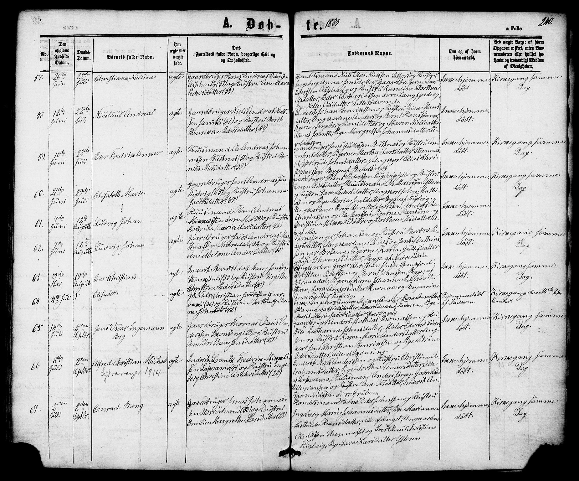 Ministerialprotokoller, klokkerbøker og fødselsregistre - Nordland, AV/SAT-A-1459/827/L0393: Parish register (official) no. 827A05, 1863-1883, p. 240