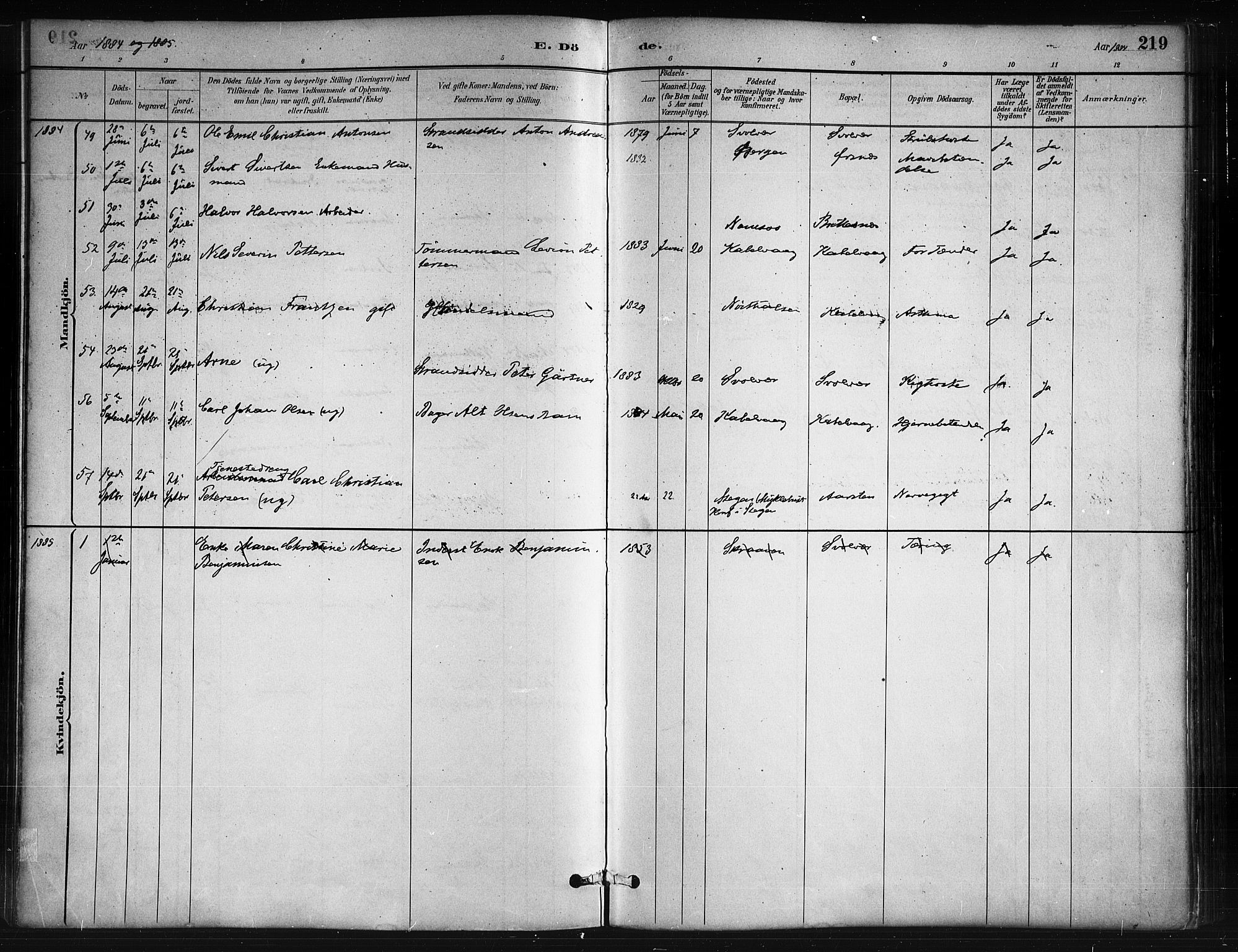 Ministerialprotokoller, klokkerbøker og fødselsregistre - Nordland, AV/SAT-A-1459/874/L1059: Parish register (official) no. 874A03, 1884-1890, p. 219