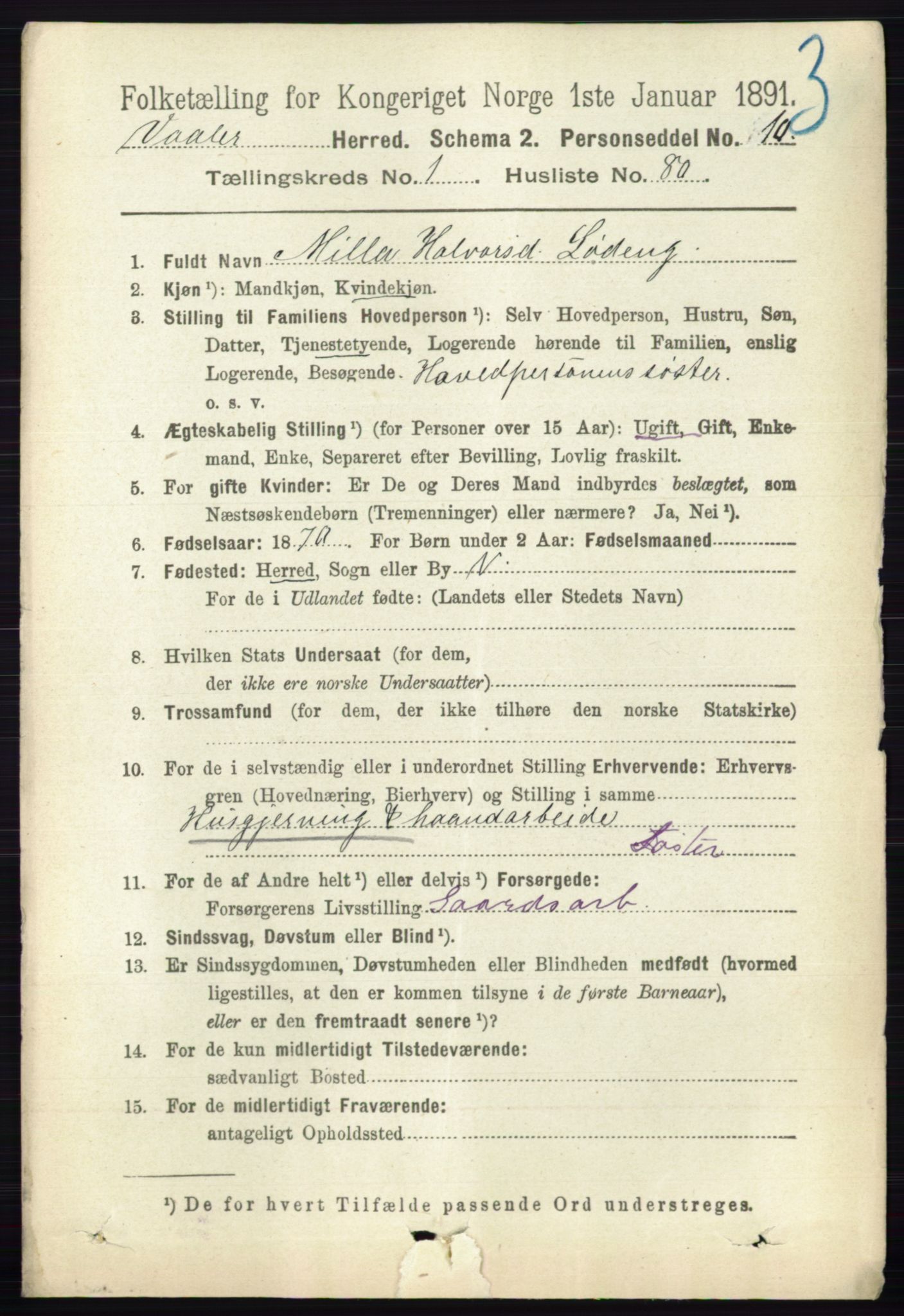 RA, 1891 census for 0137 Våler, 1891, p. 613