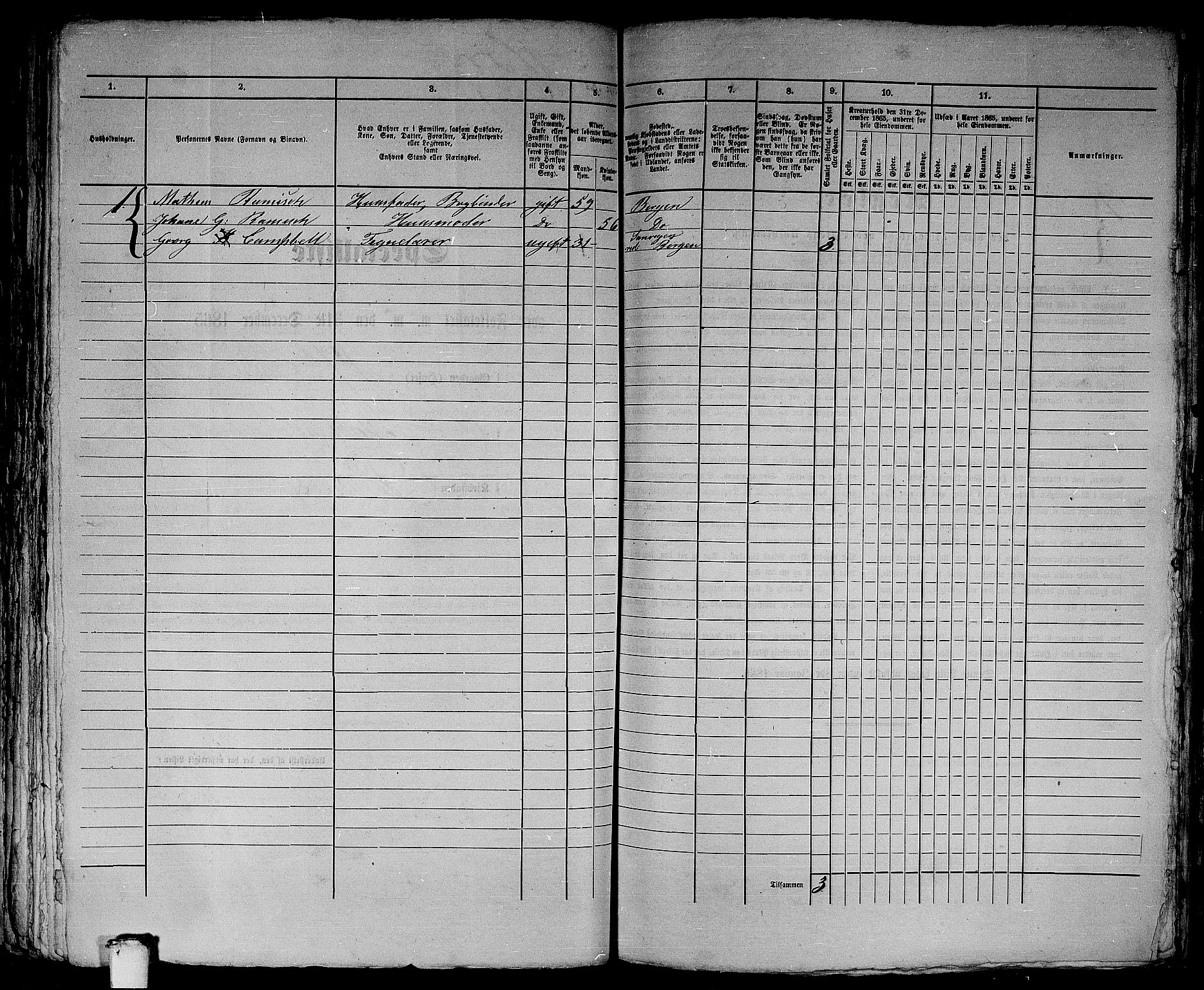 RA, 1865 census for Bergen, 1865, p. 3381