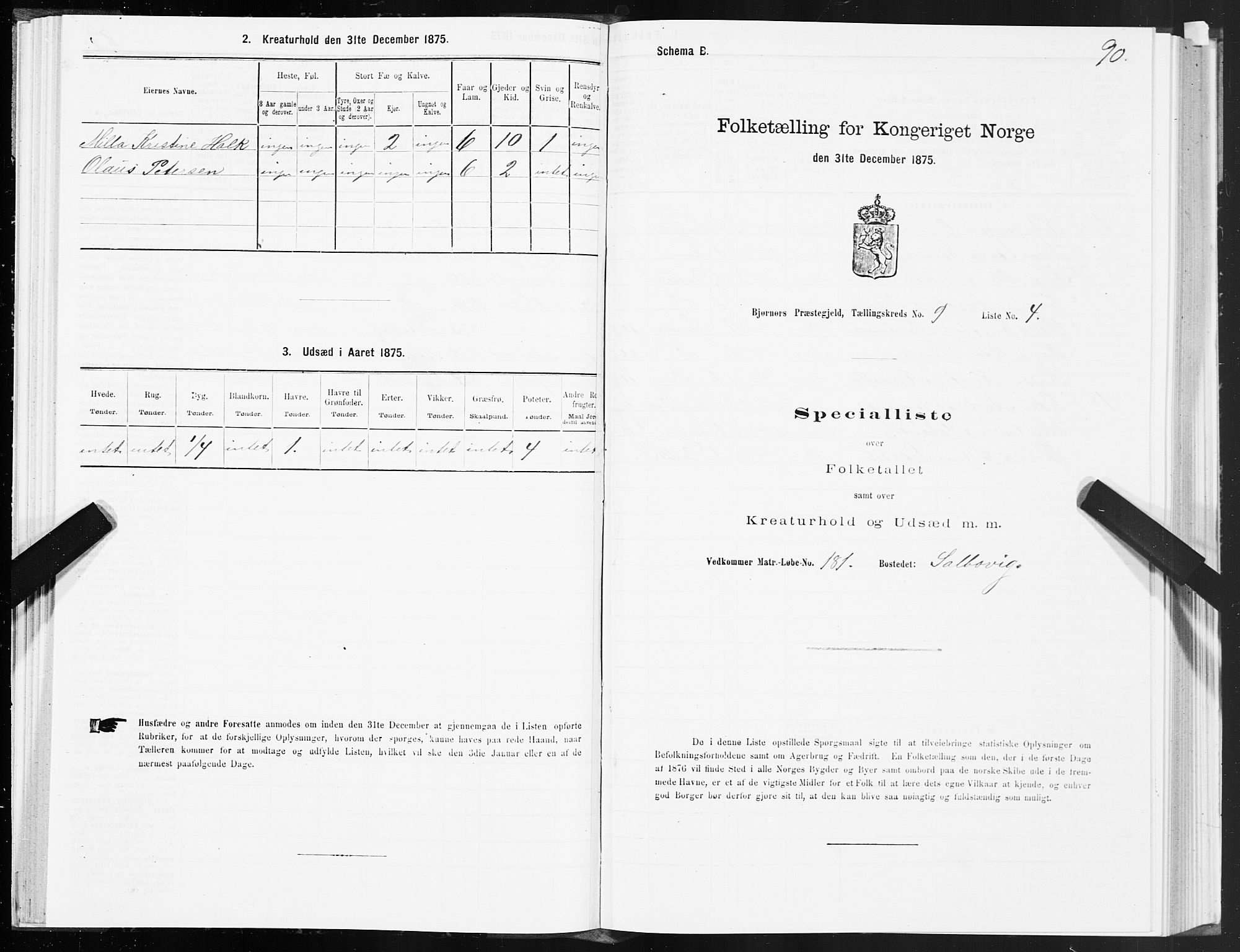 SAT, 1875 census for 1632P Bjørnør, 1875, p. 4090