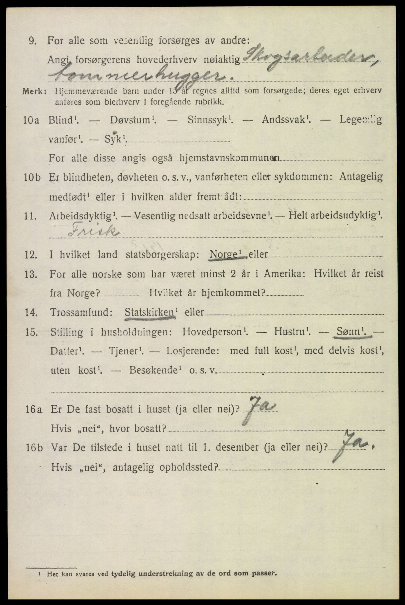 SAH, 1920 census for Elverum, 1920, p. 23315