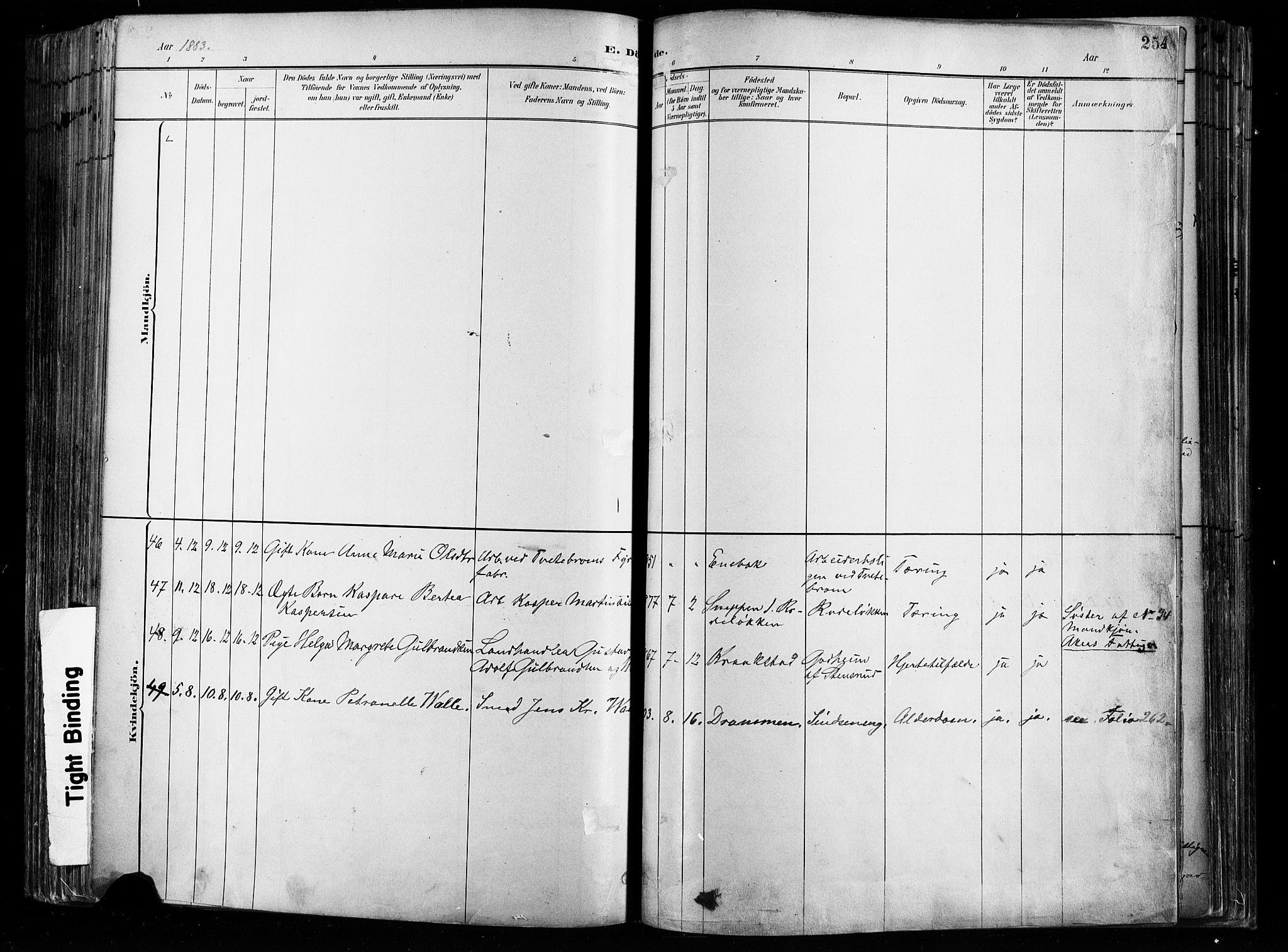 Østre Aker prestekontor Kirkebøker, SAO/A-10840/F/Fa/L0008: Parish register (official) no. I 8, 1883-1894, p. 254