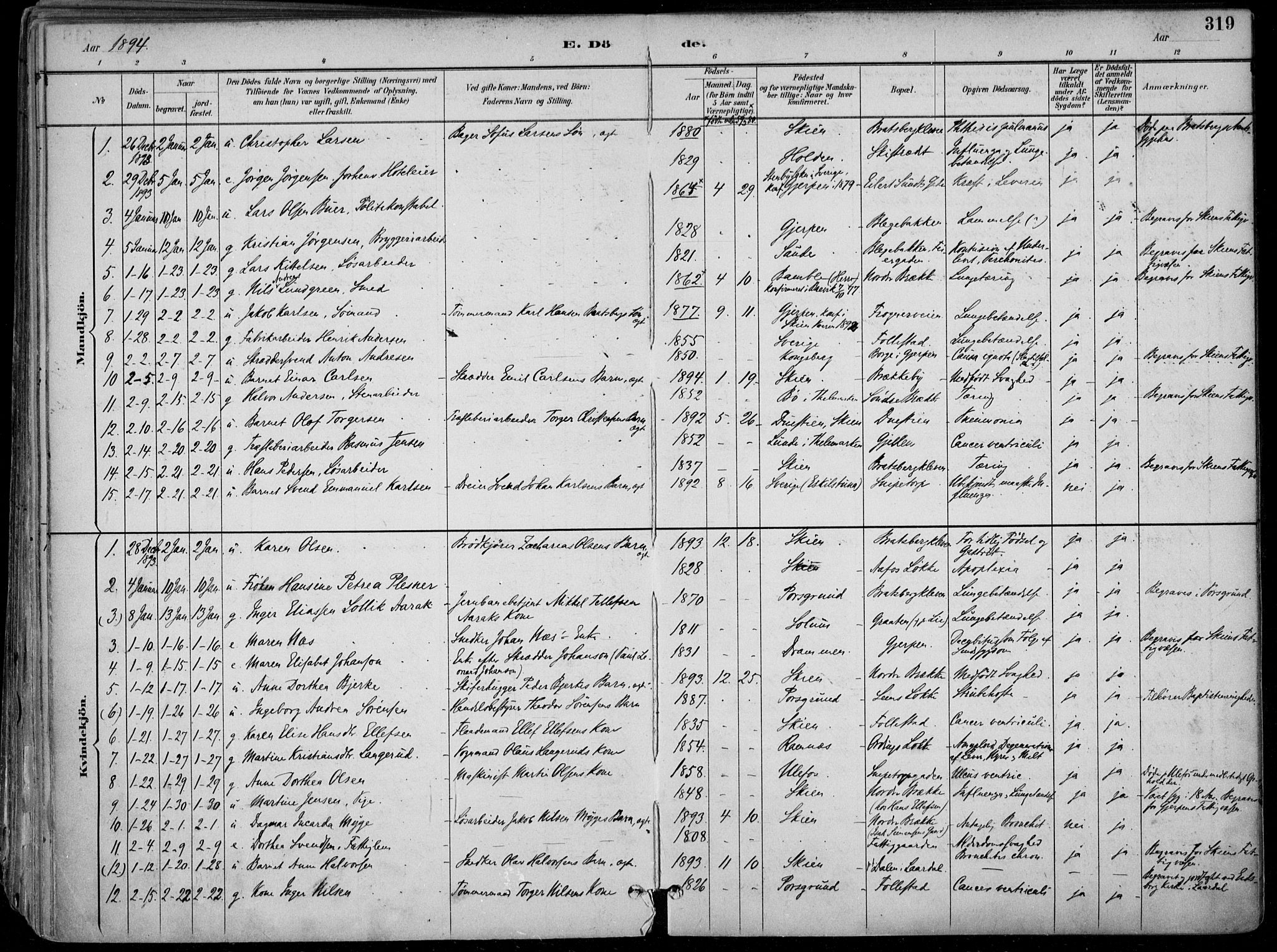 Skien kirkebøker, SAKO/A-302/F/Fa/L0010: Parish register (official) no. 10, 1891-1899, p. 319